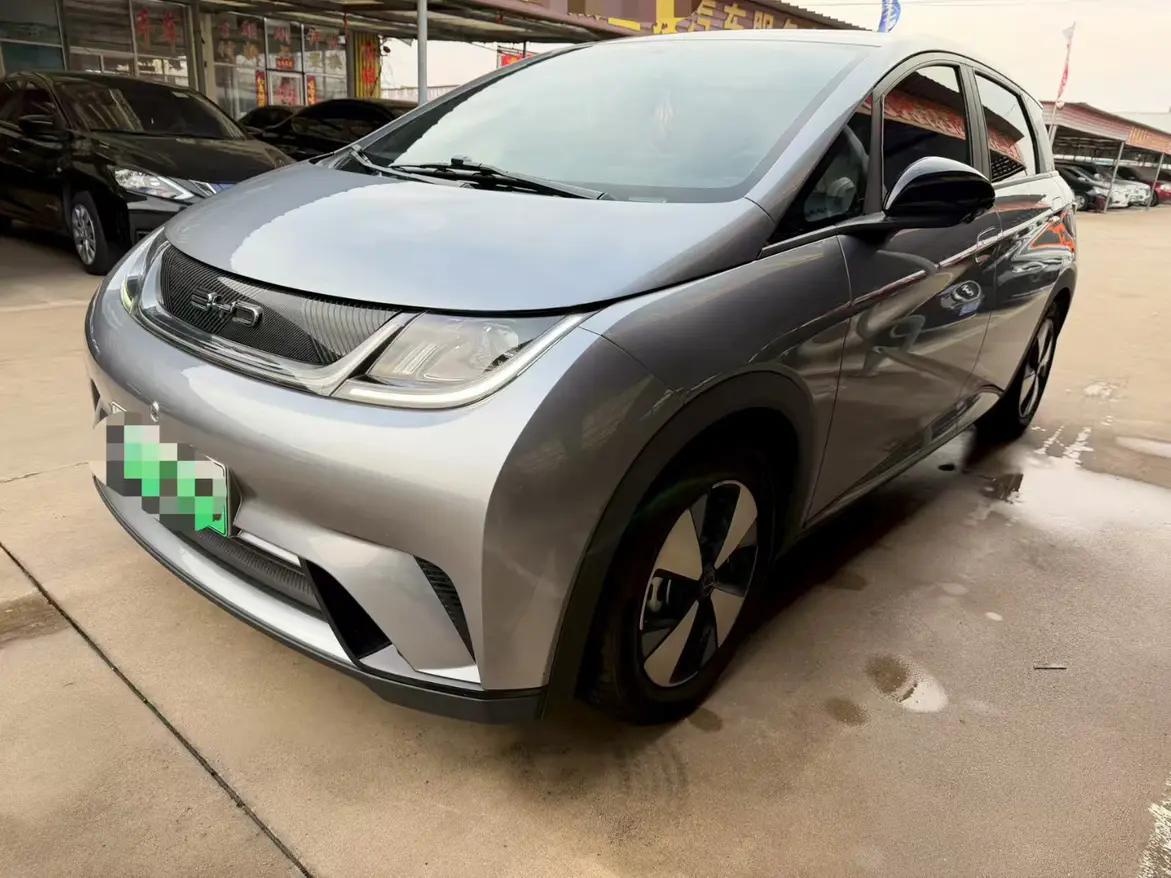 BYD Dolphin  из Китая