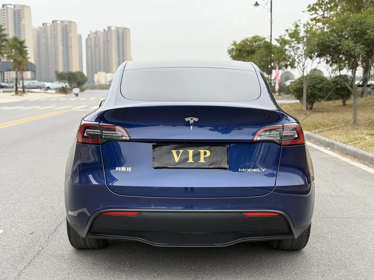 Tesla Model Y  из Китая