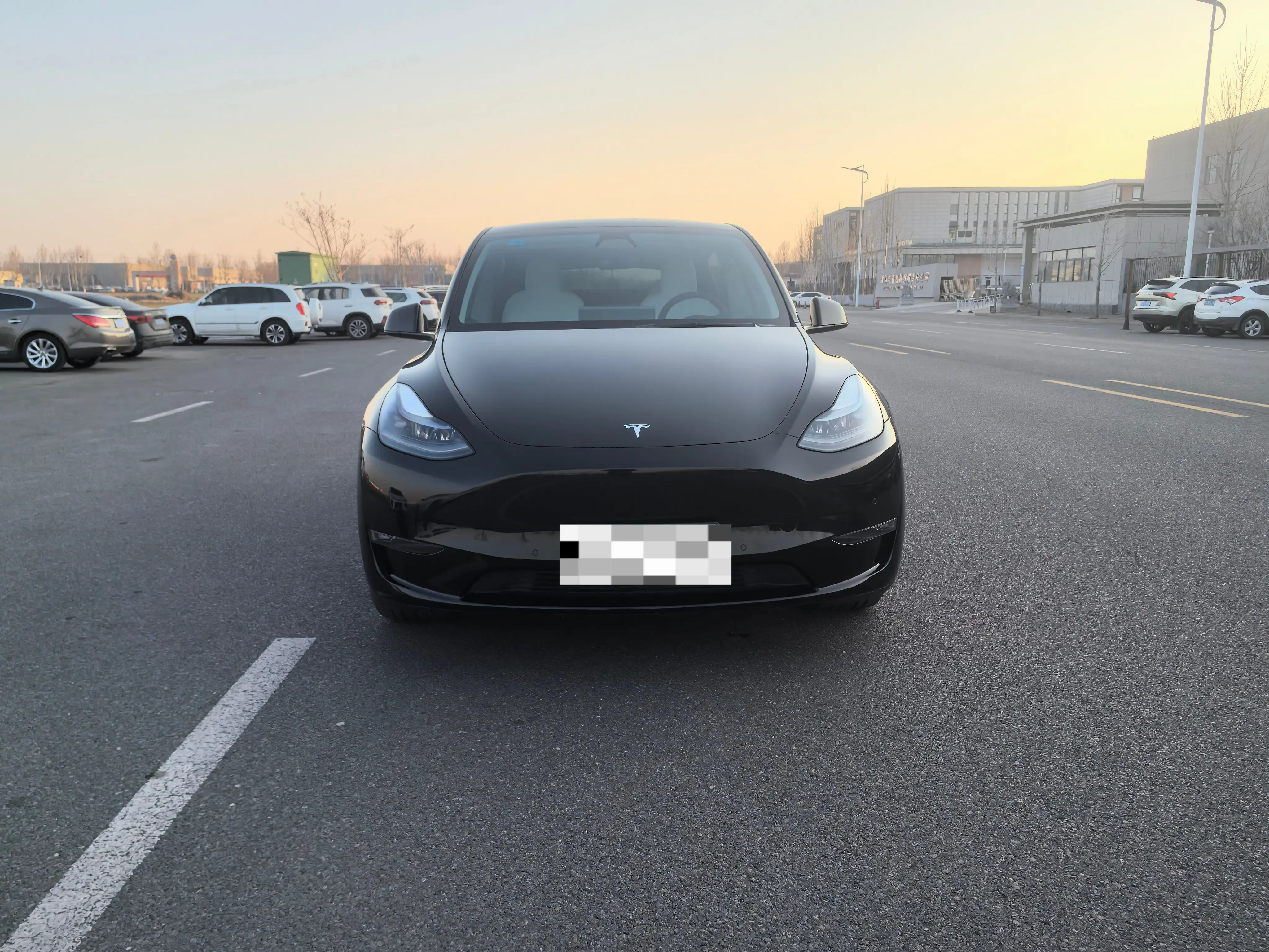 Tesla Model Y  из Китая