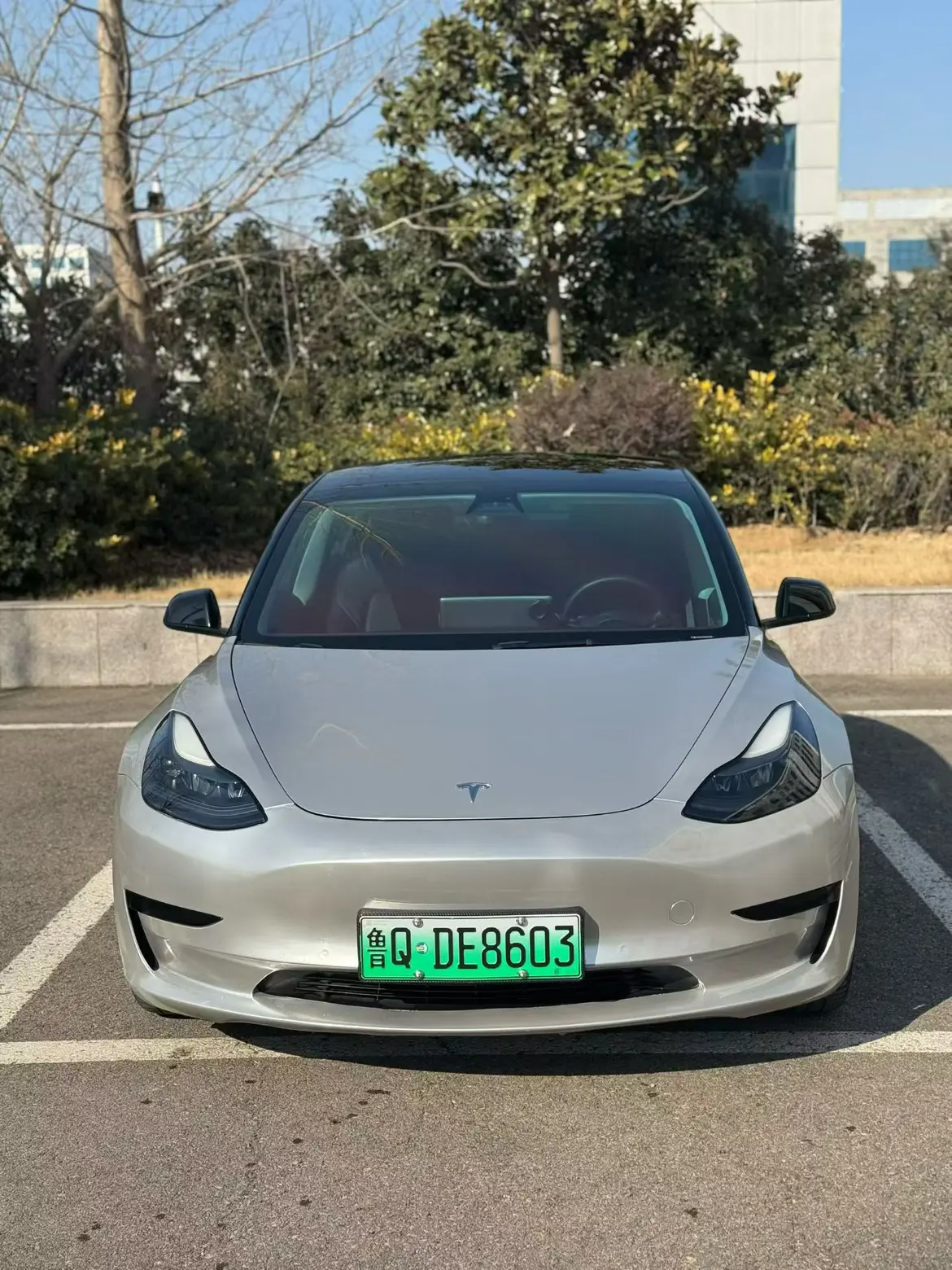 Tesla Model 3  из Китая