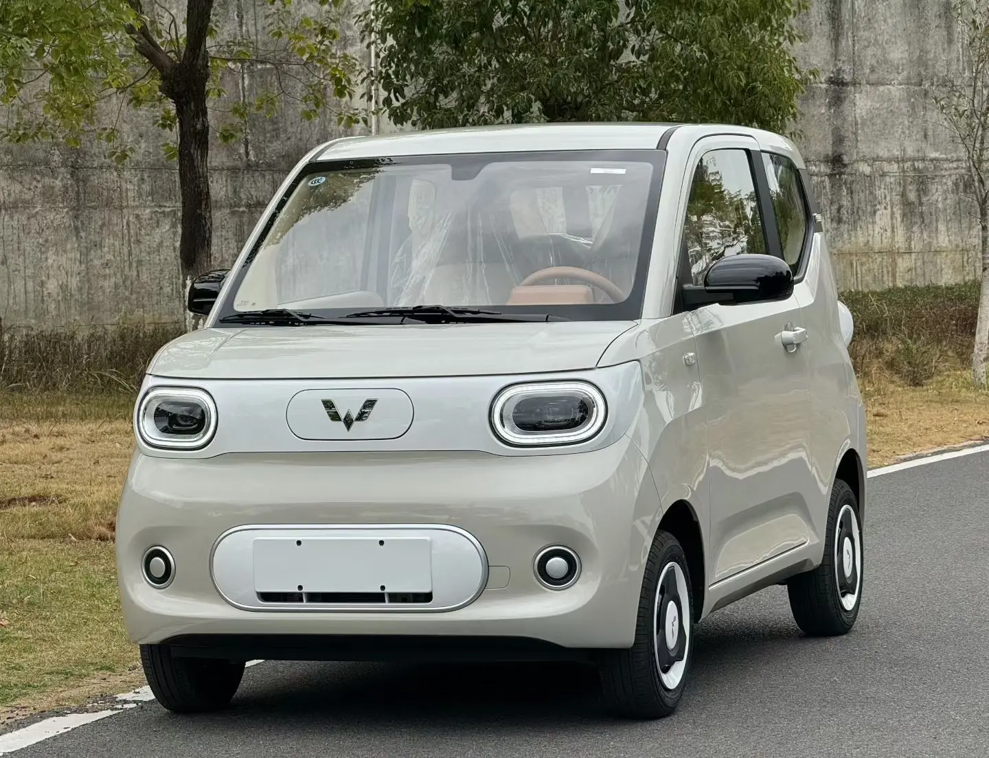 Wuling Hongguang MINIEV  из Китая