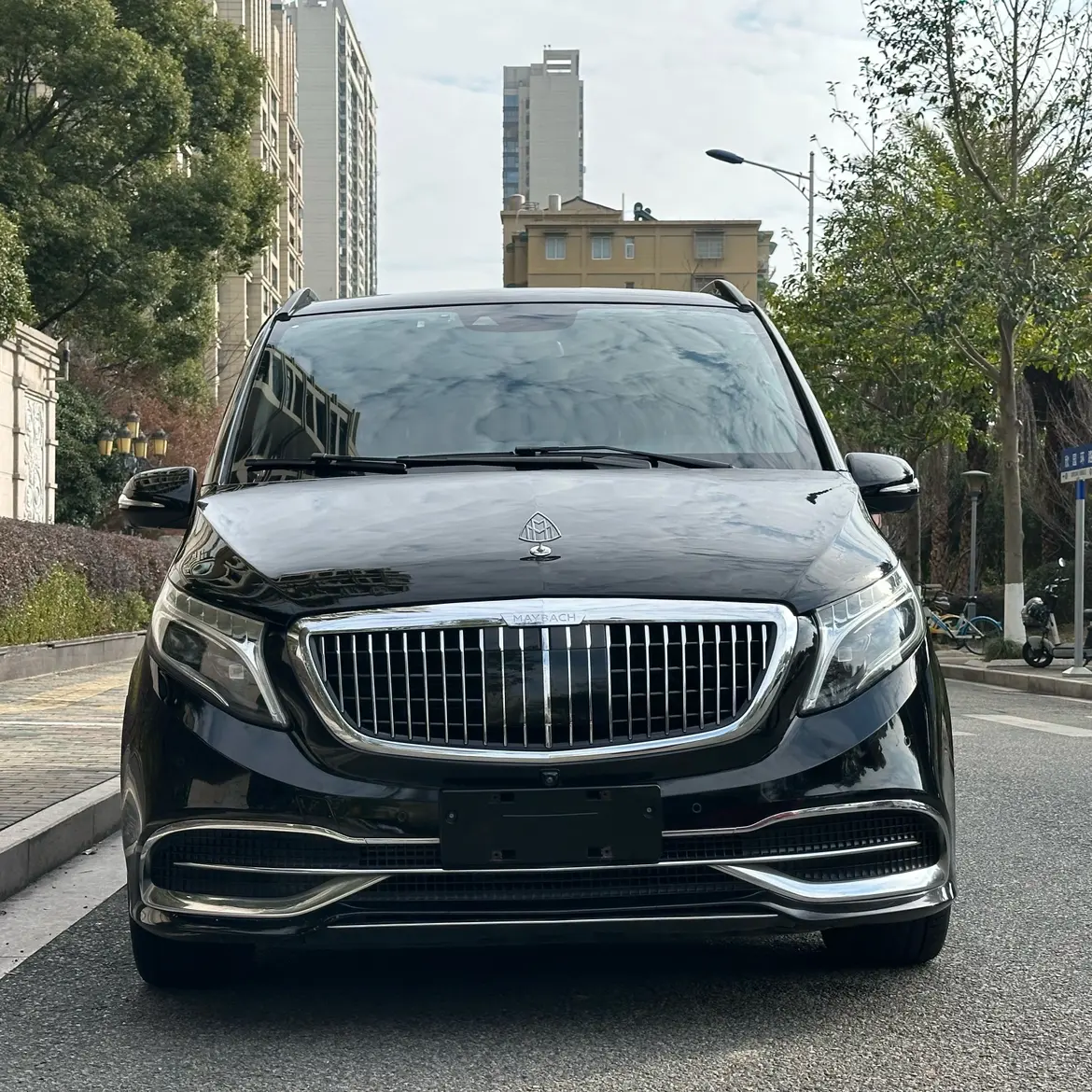 Mercedes-Benz Mercedes Benz V Class  из Китая
