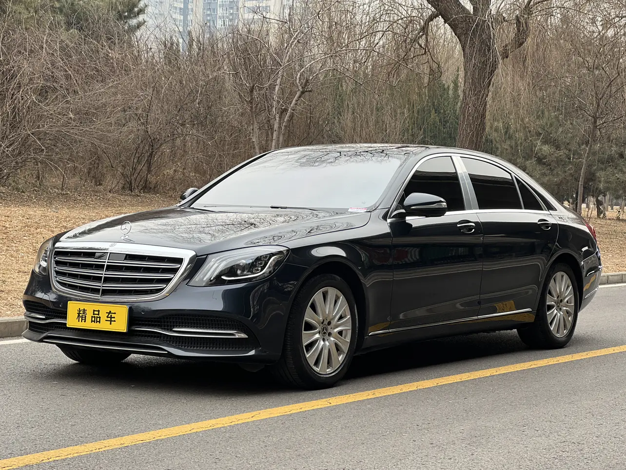 Mercedes-Benz Mercedes Benz S Class  из Китая