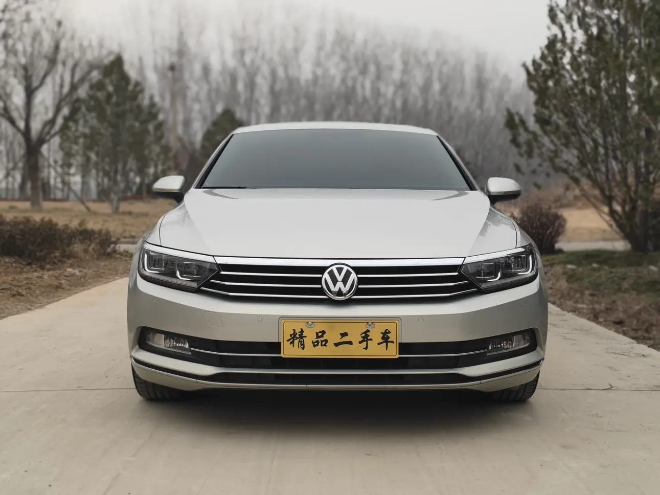 Volkswagen Magotan  из Китая