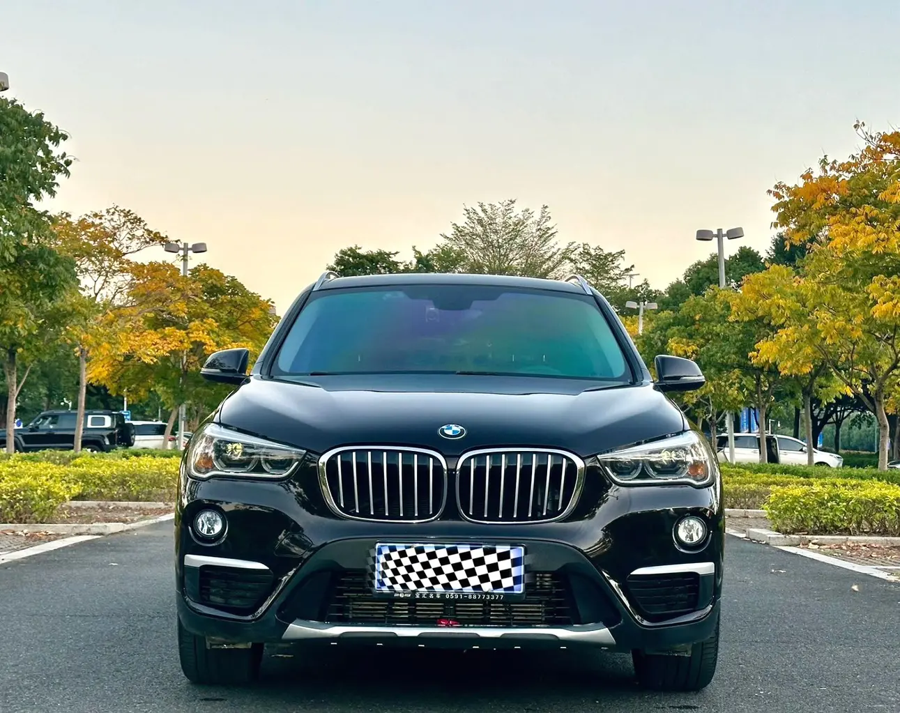 BMW X1