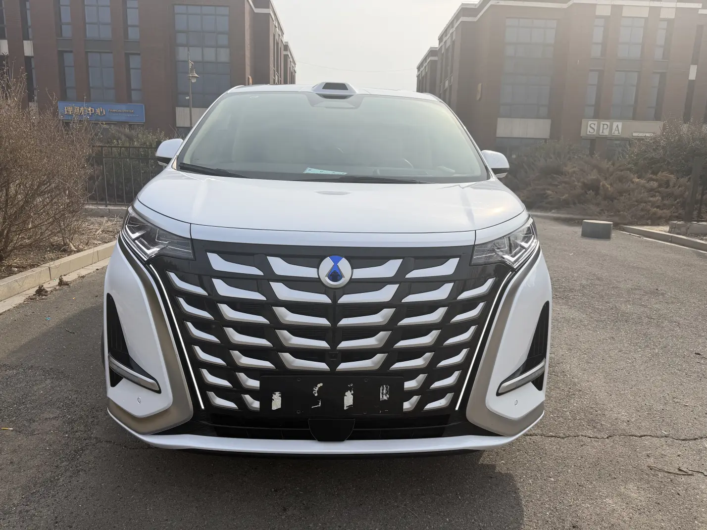 Denza D9 DM  из Китая