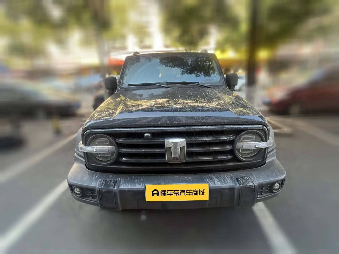 Tank 300  из Китая