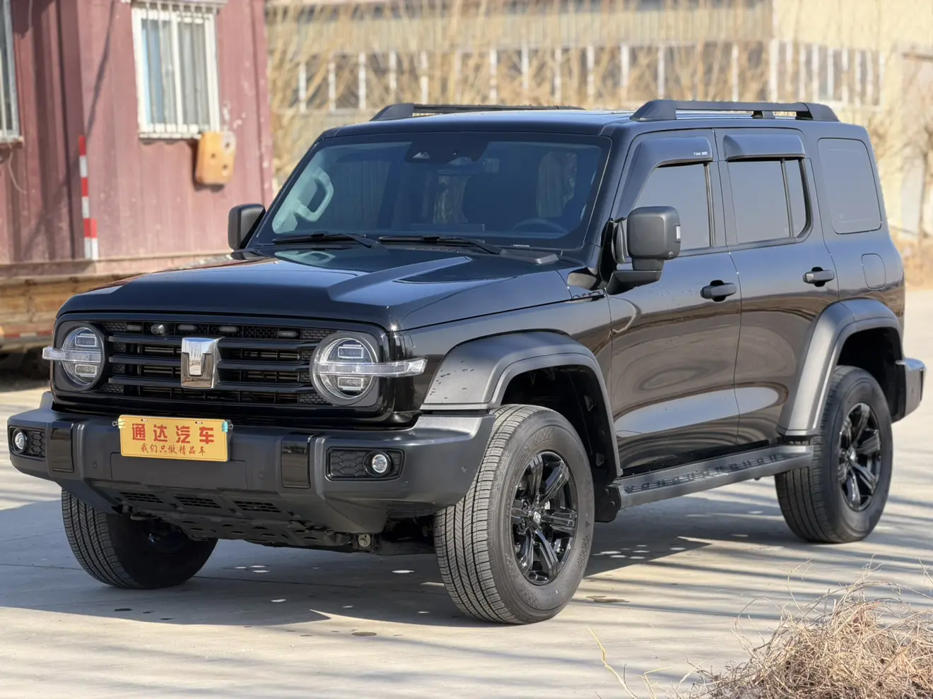 Tank 300  из Китая