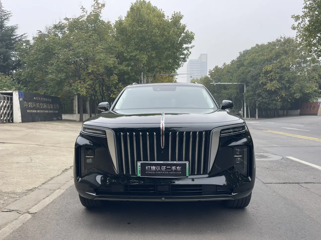 Hongqi E-HS9  из Китая