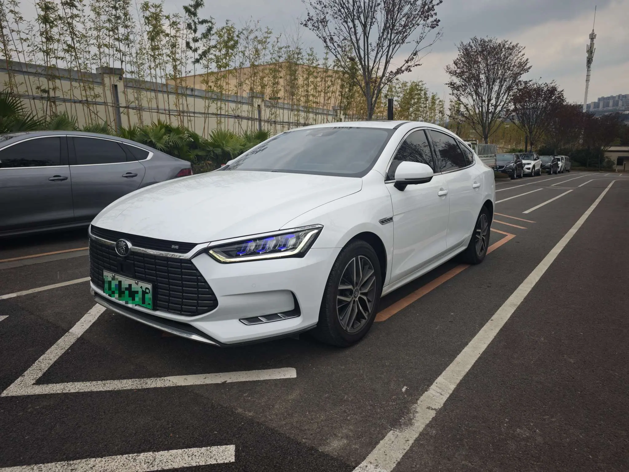 BYD Qin Pro EV  из Китая
