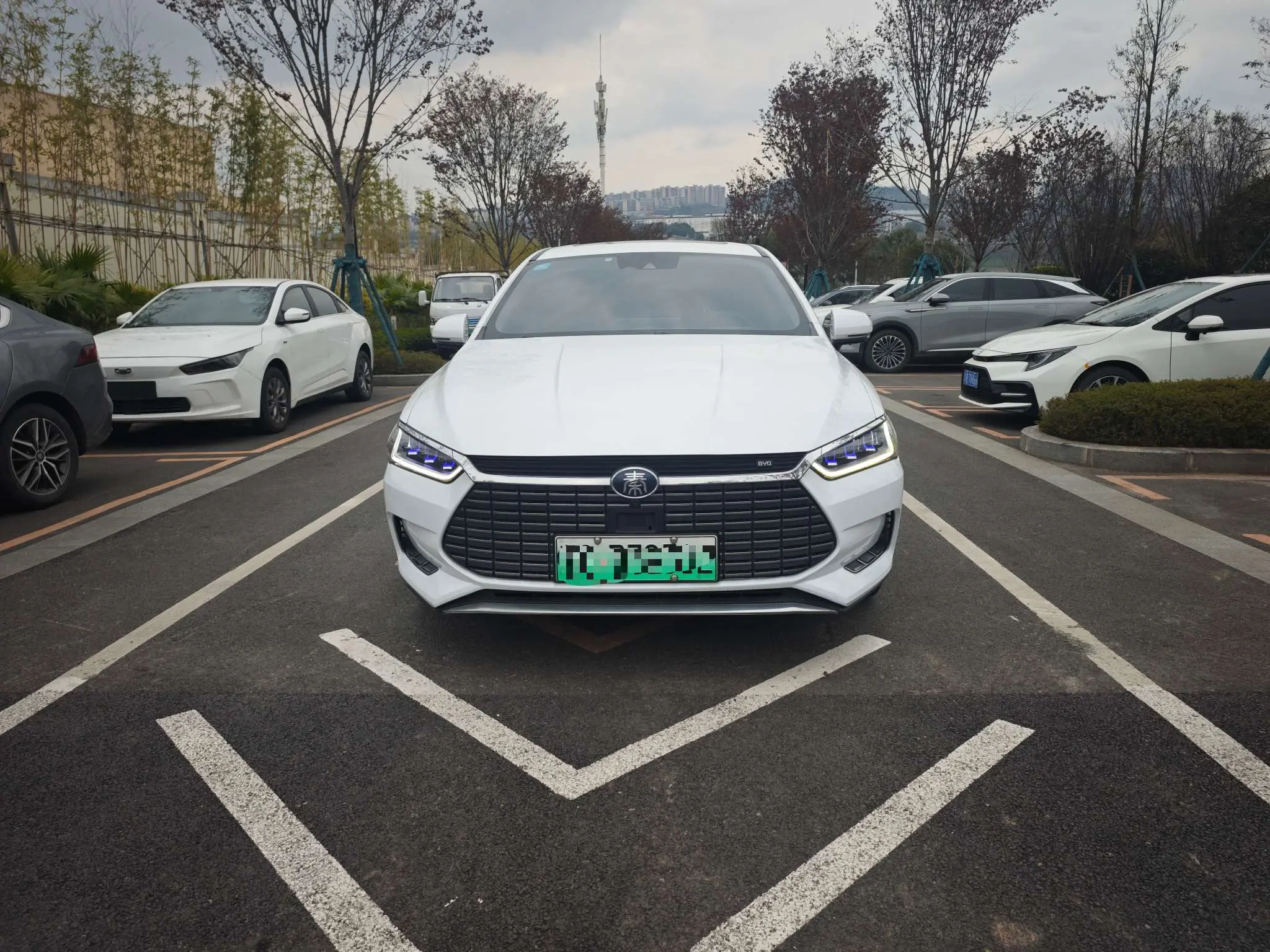 BYD Qin Pro EV  из Китая