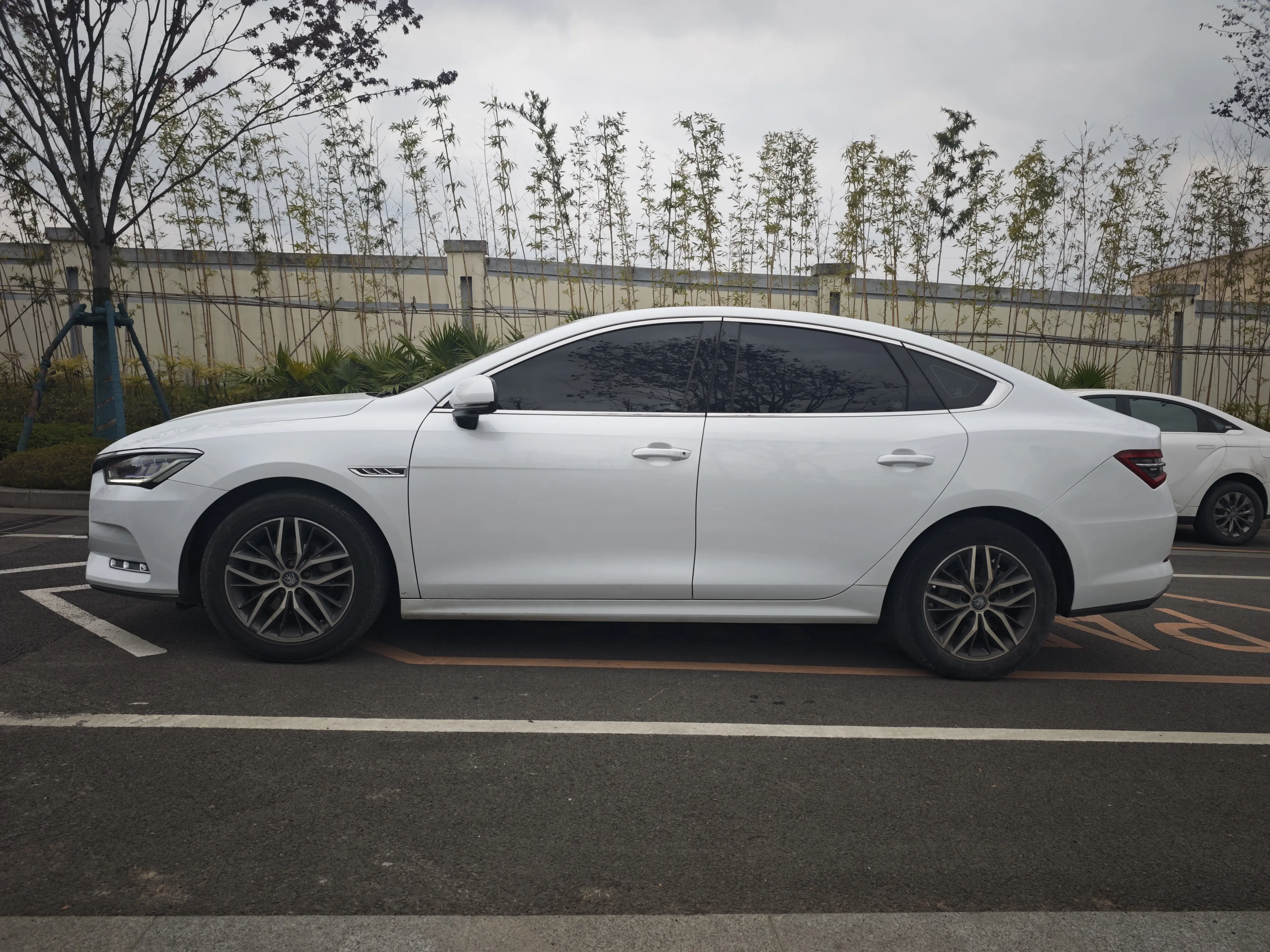 BYD Qin Pro EV