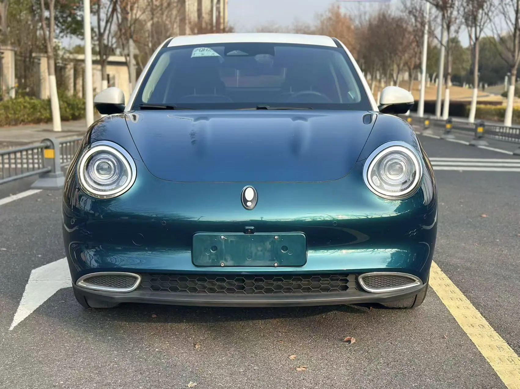 ORA Euler good cat  из Китая