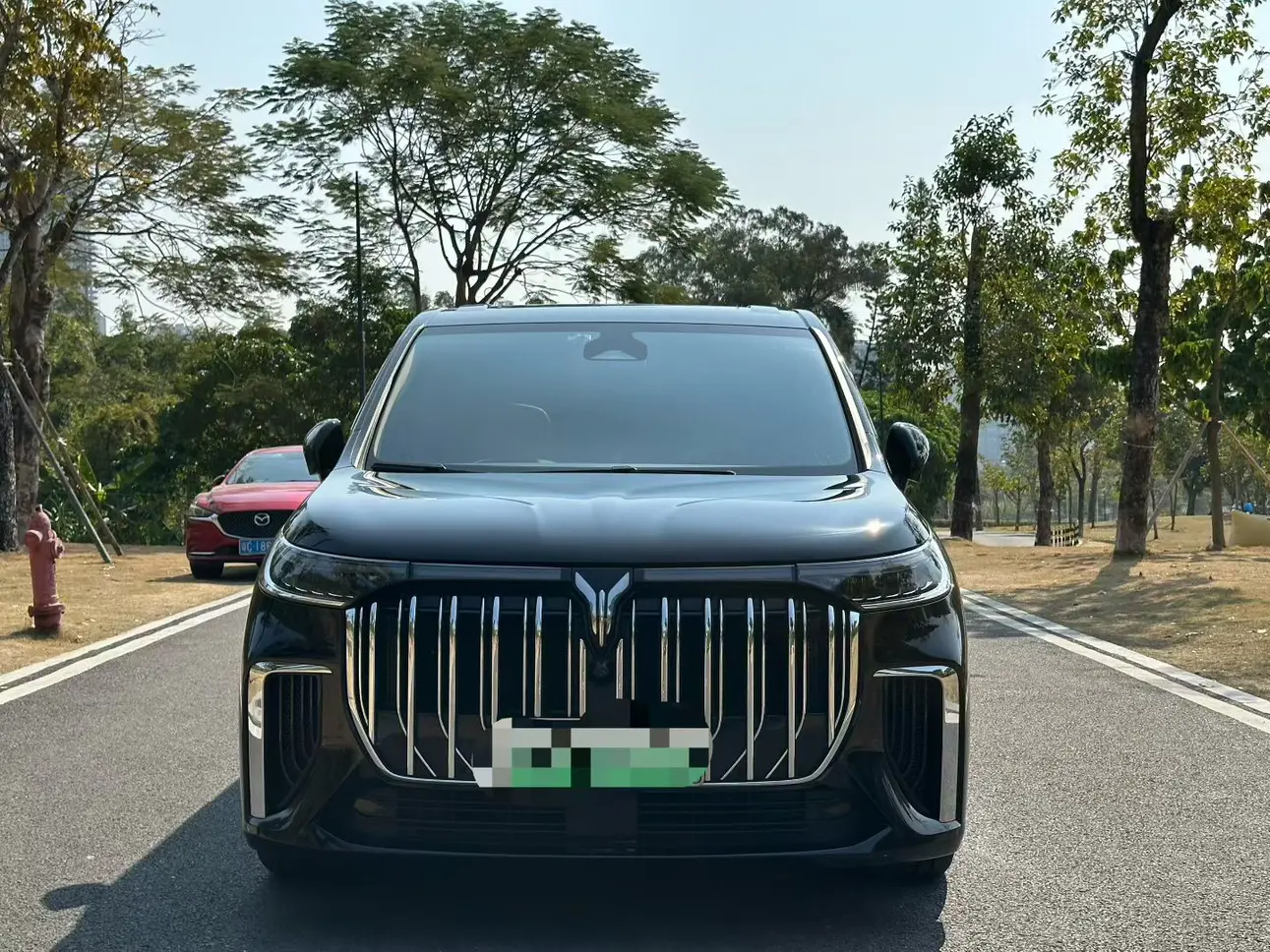 Voyah Lantu Dreamer PHEV  из Китая