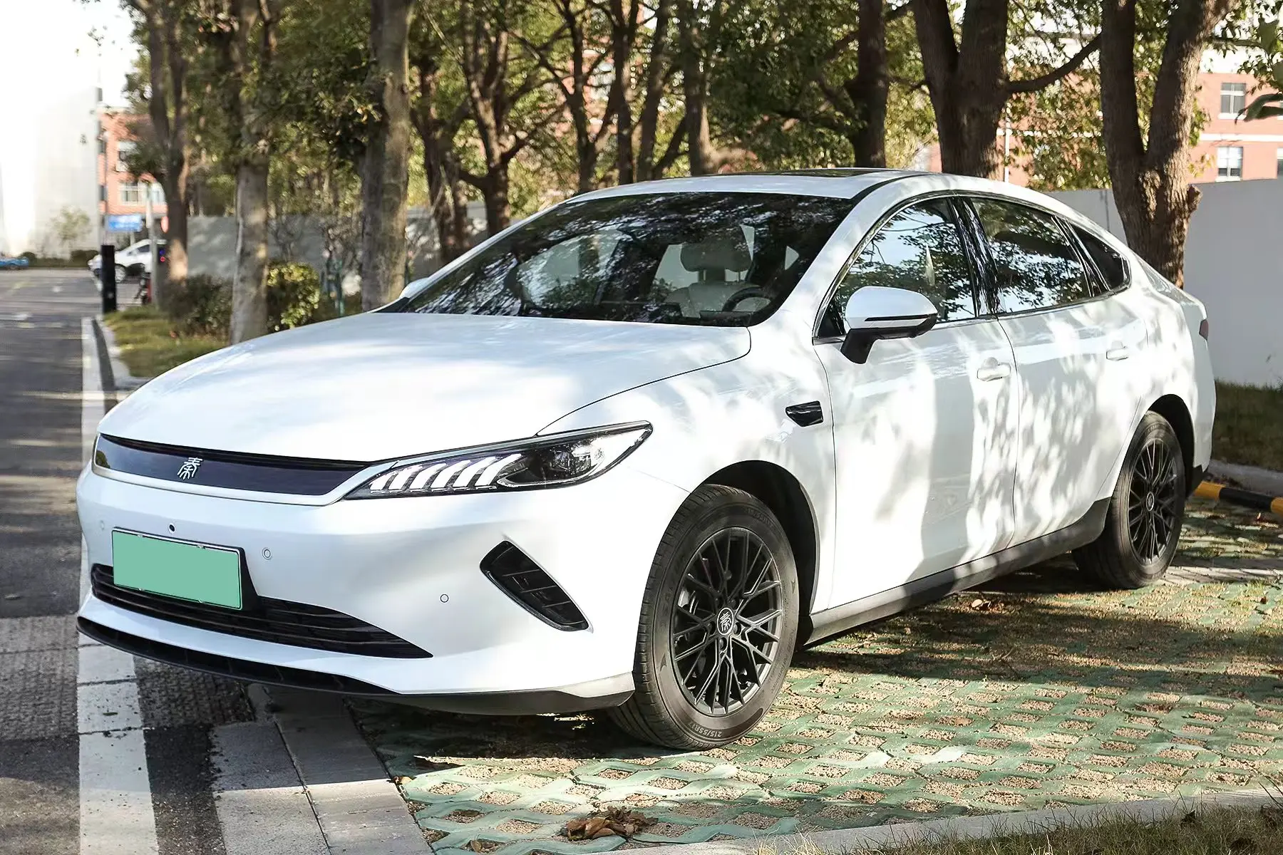 BYD Qin PLUS EV
