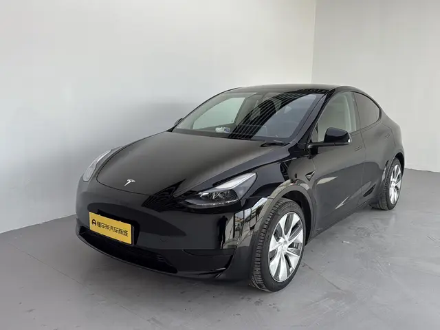 Tesla Model Y  из Китая