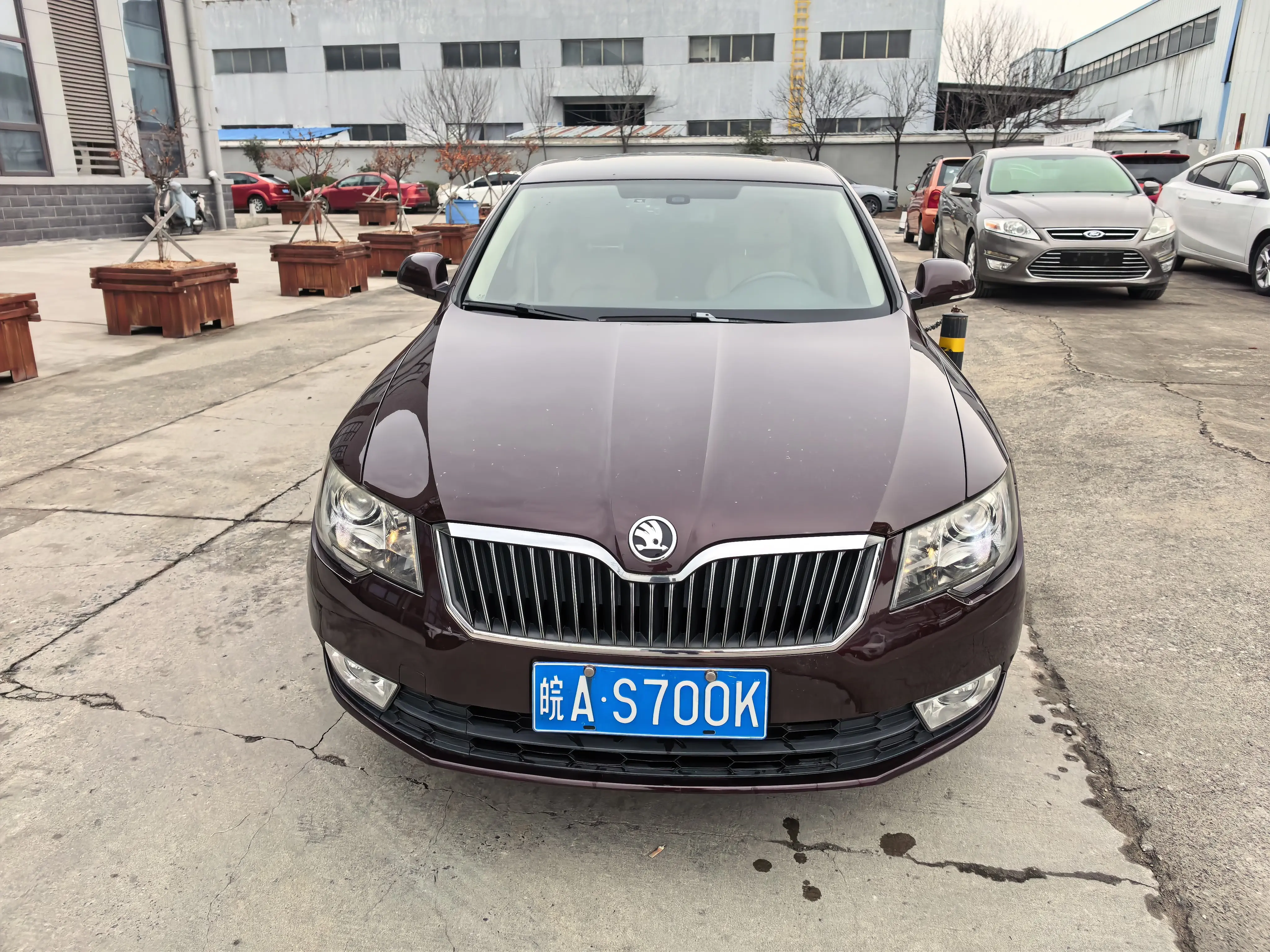 Skoda Speedy  из Китая