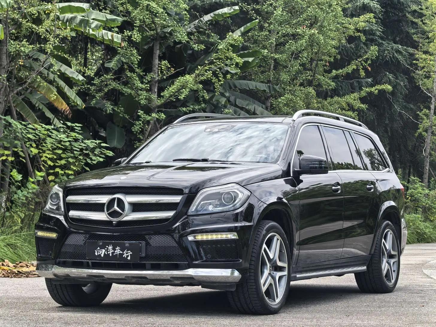 Mercedes-Benz Mercedes Benz GL Class  из Китая