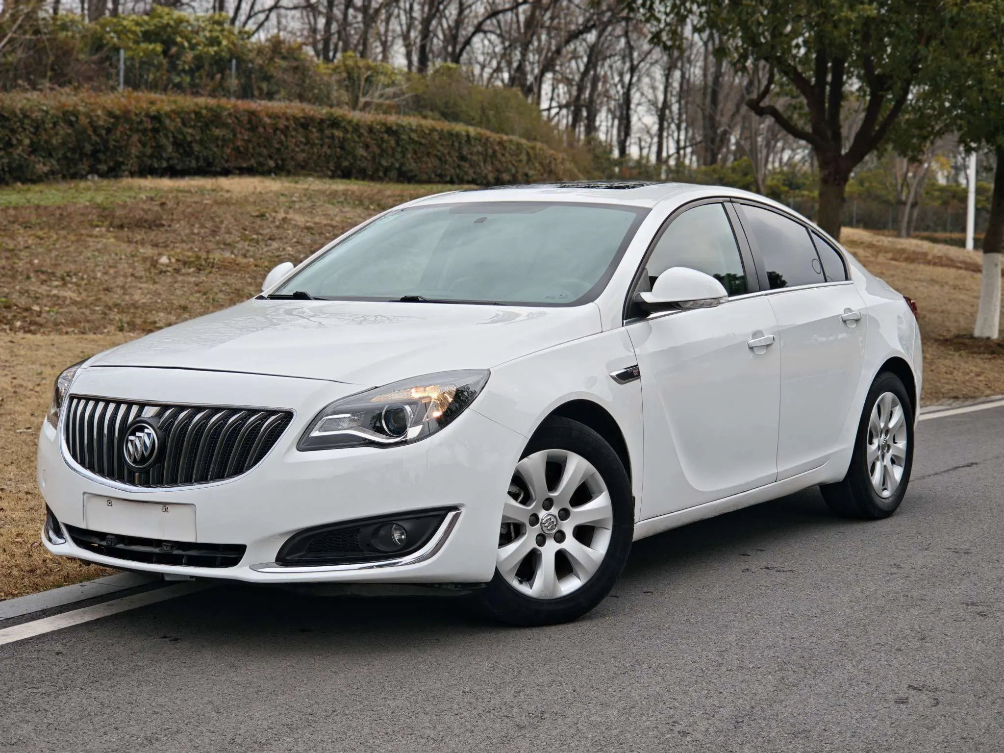 Buick Majesty