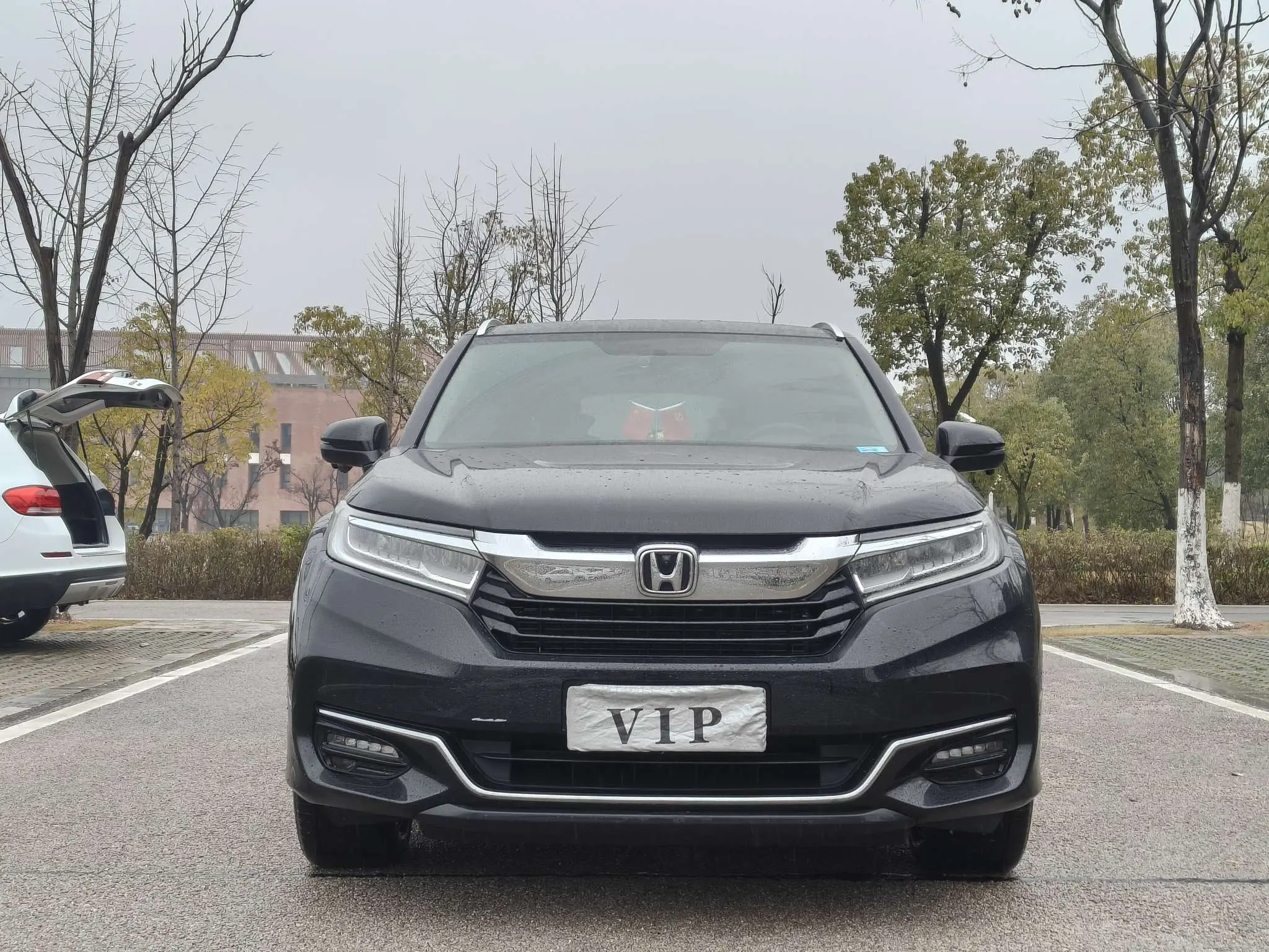 Honda Avancier (Crown Road)  из Китая