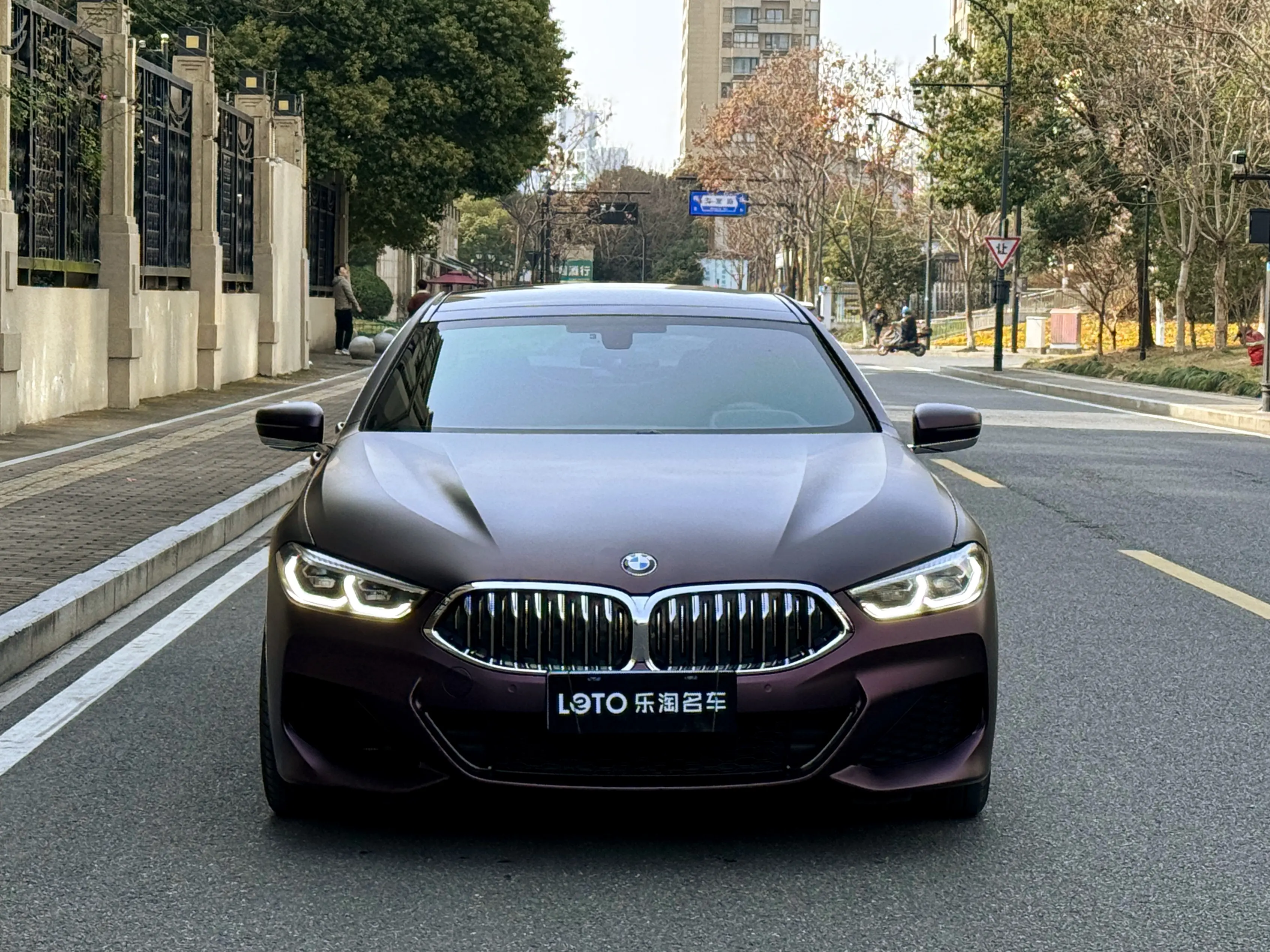 BMW 8 Series  из Китая