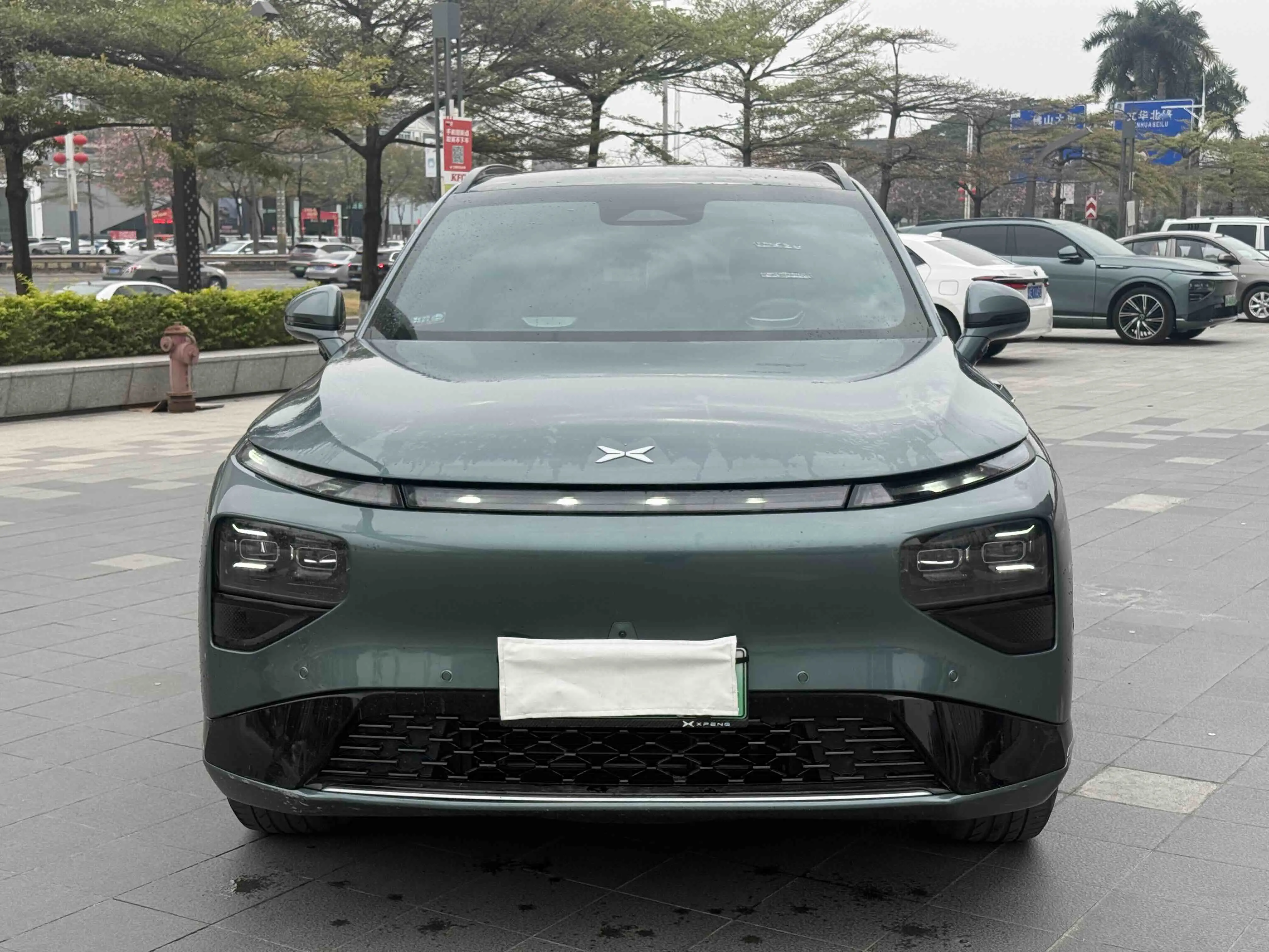 Xpeng G9  из Китая