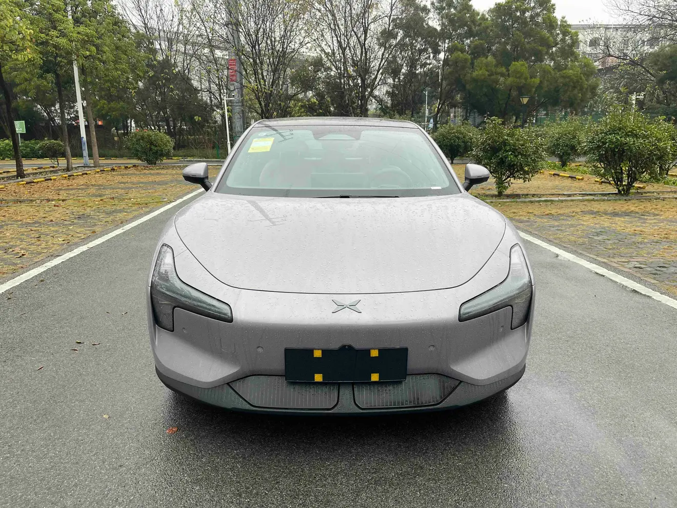 Xpeng Xiaopeng MONA M03  из Китая