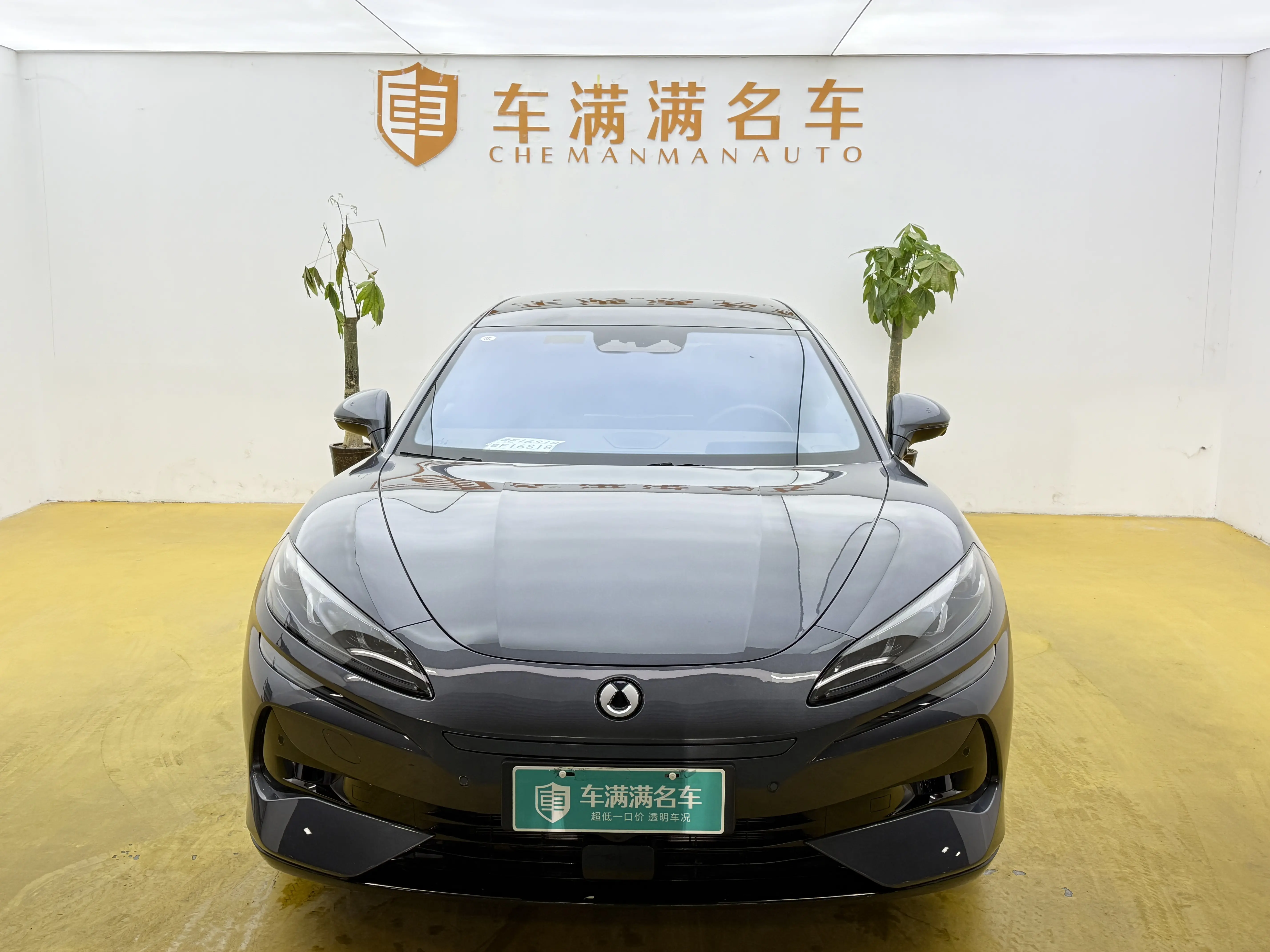 Denza Tengzhong Z9 DM  из Китая