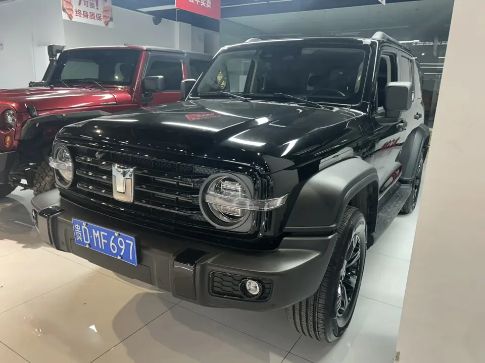 Tank 300  из Китая