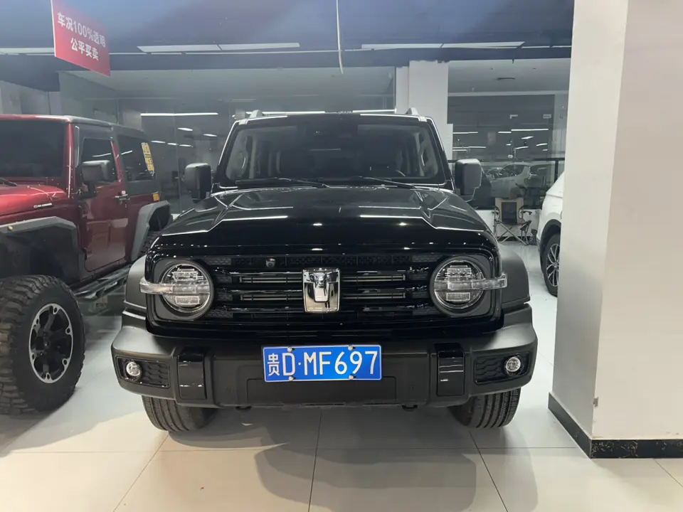 Tank 300  из Китая