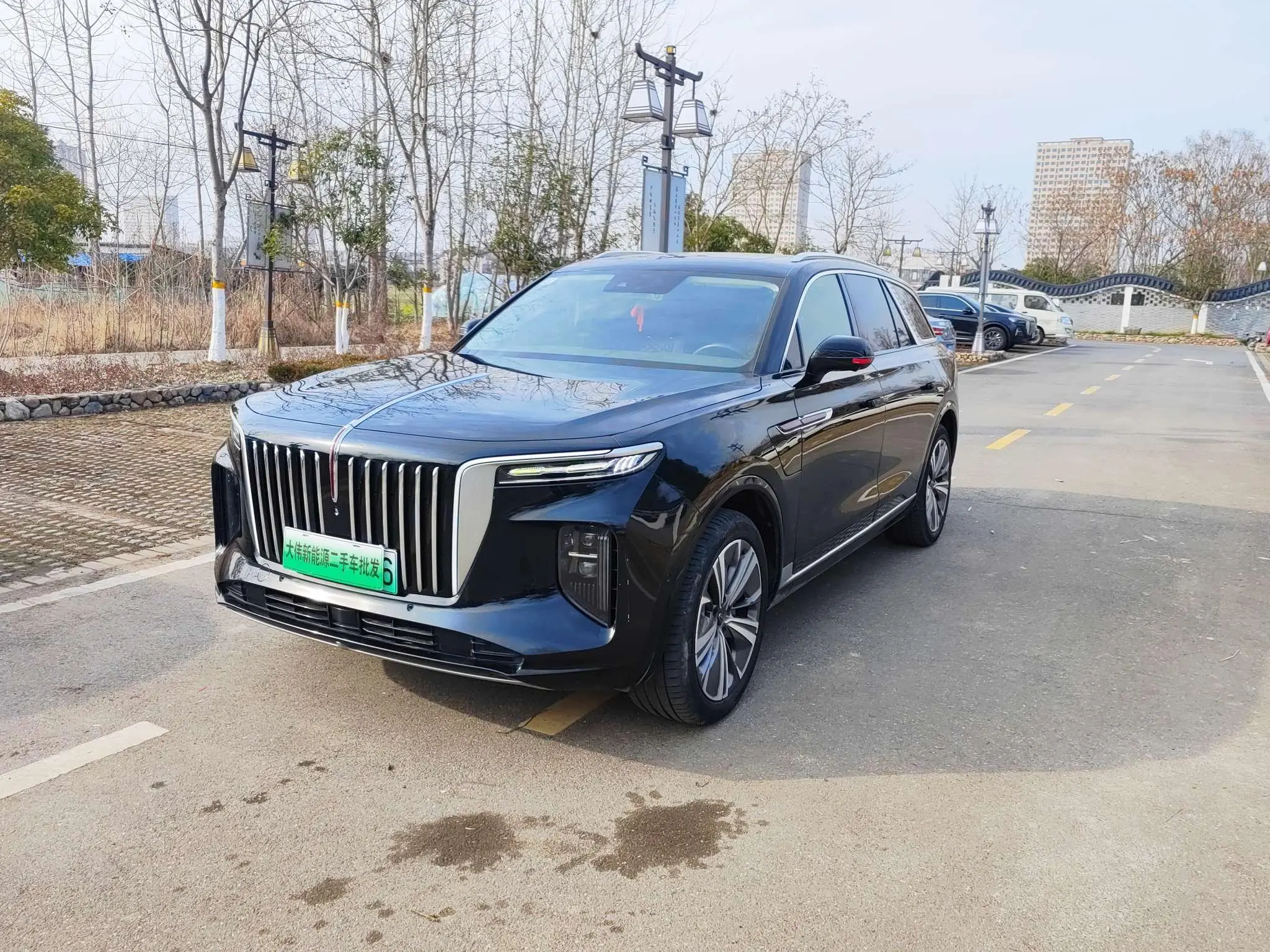 Hongqi E-HS9  из Китая