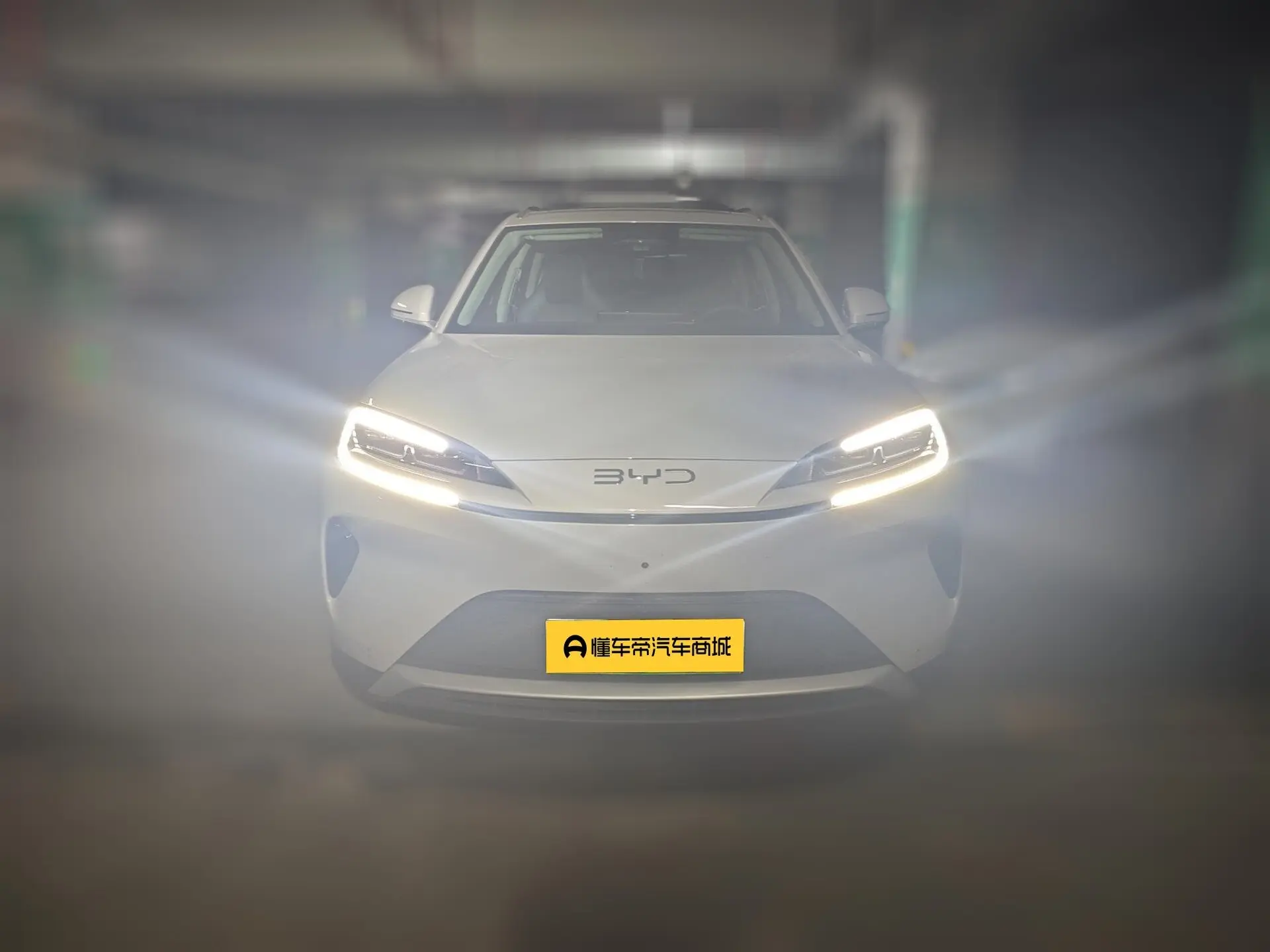 BYD Sea Lion 07DM  из Китая