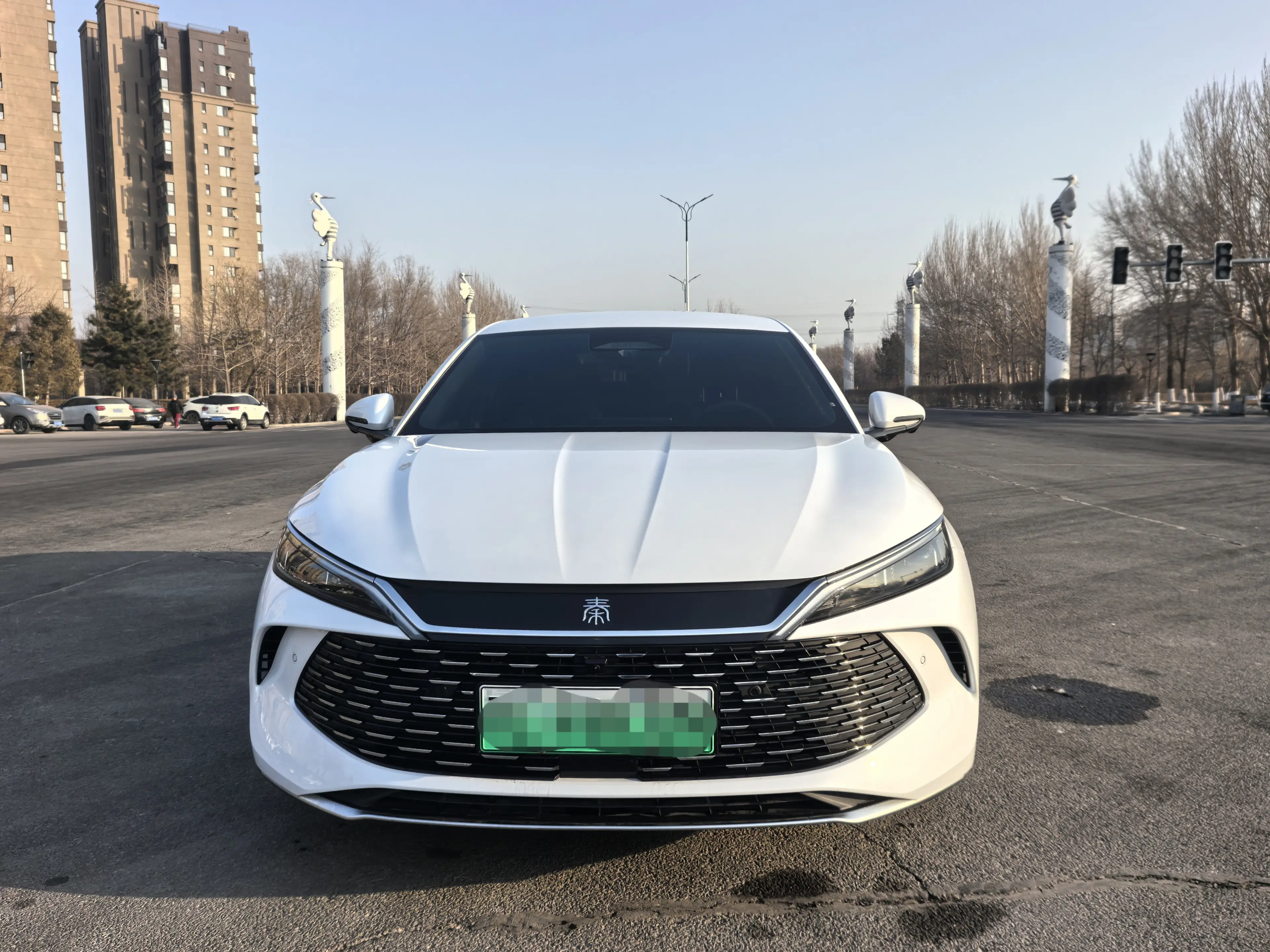 BYD Qin L DM