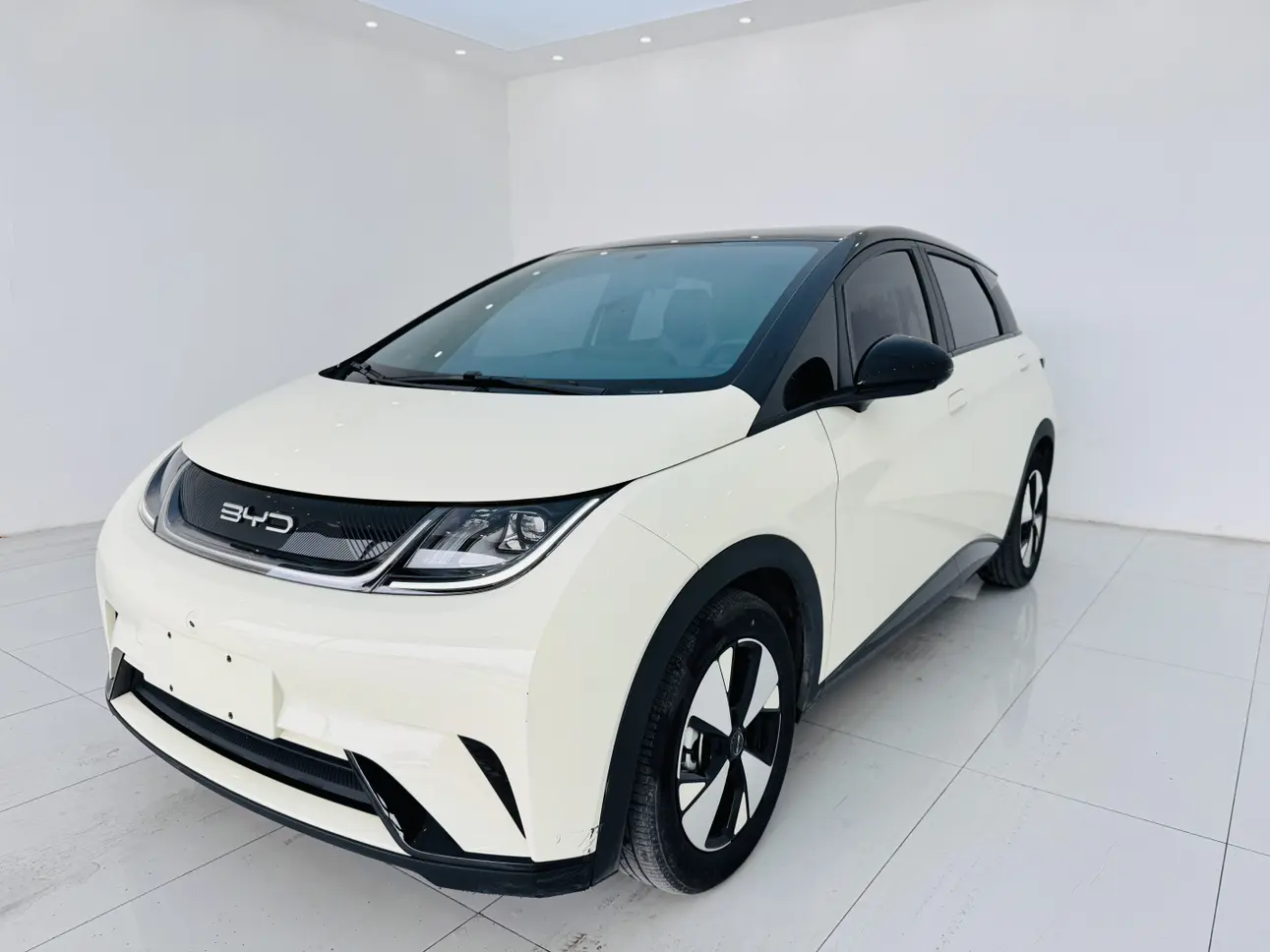 BYD Dolphin  из Китая