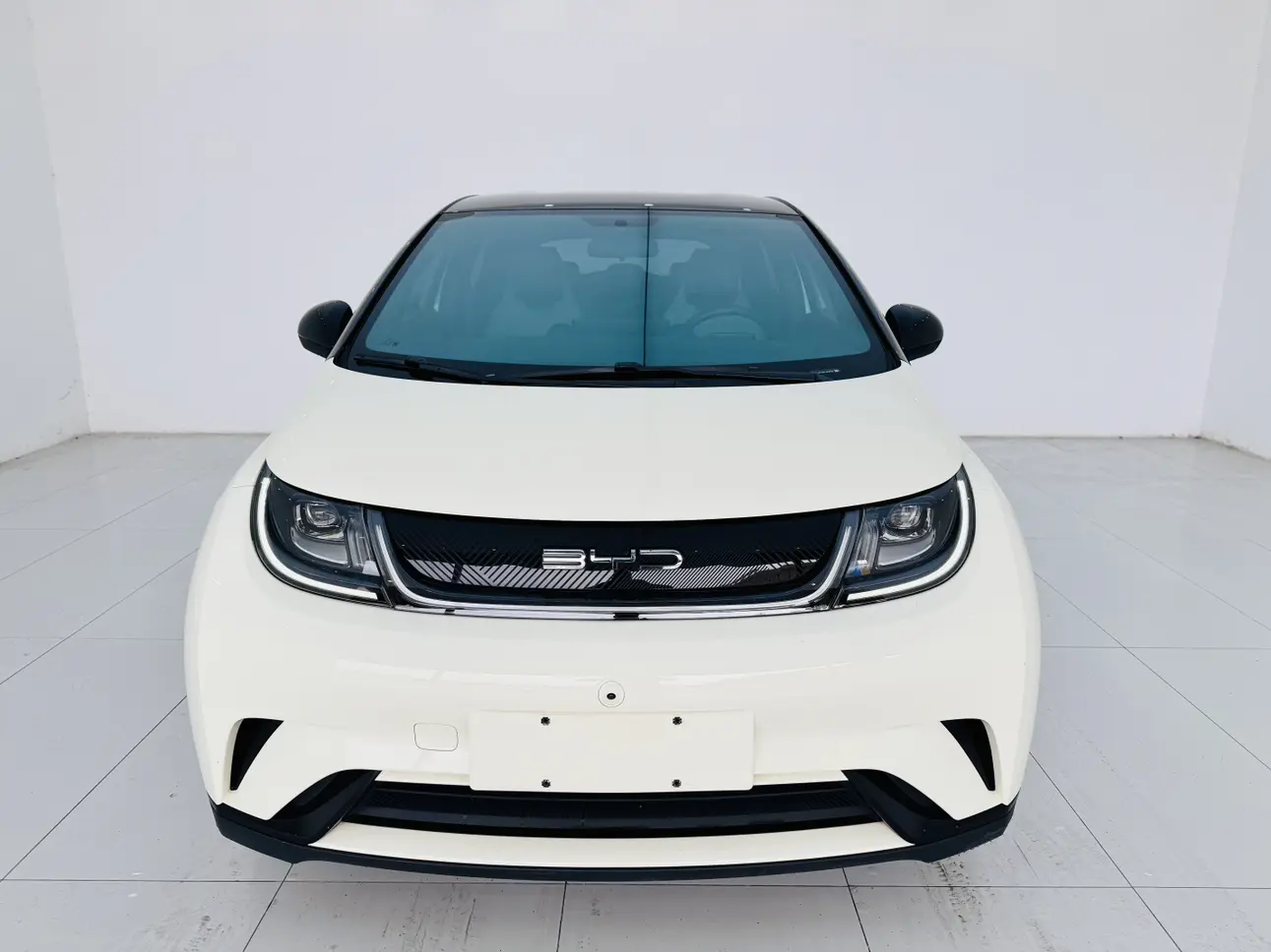 BYD Dolphin  из Китая