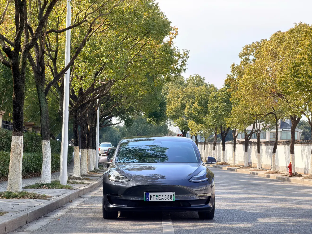 Tesla Model 3  из Китая