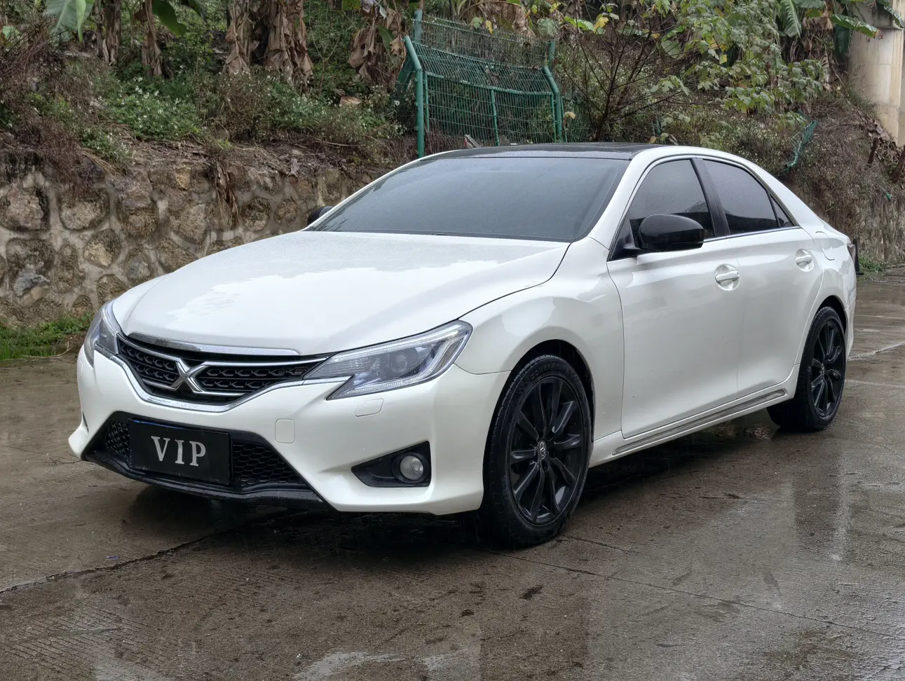 Toyota Ruizhi