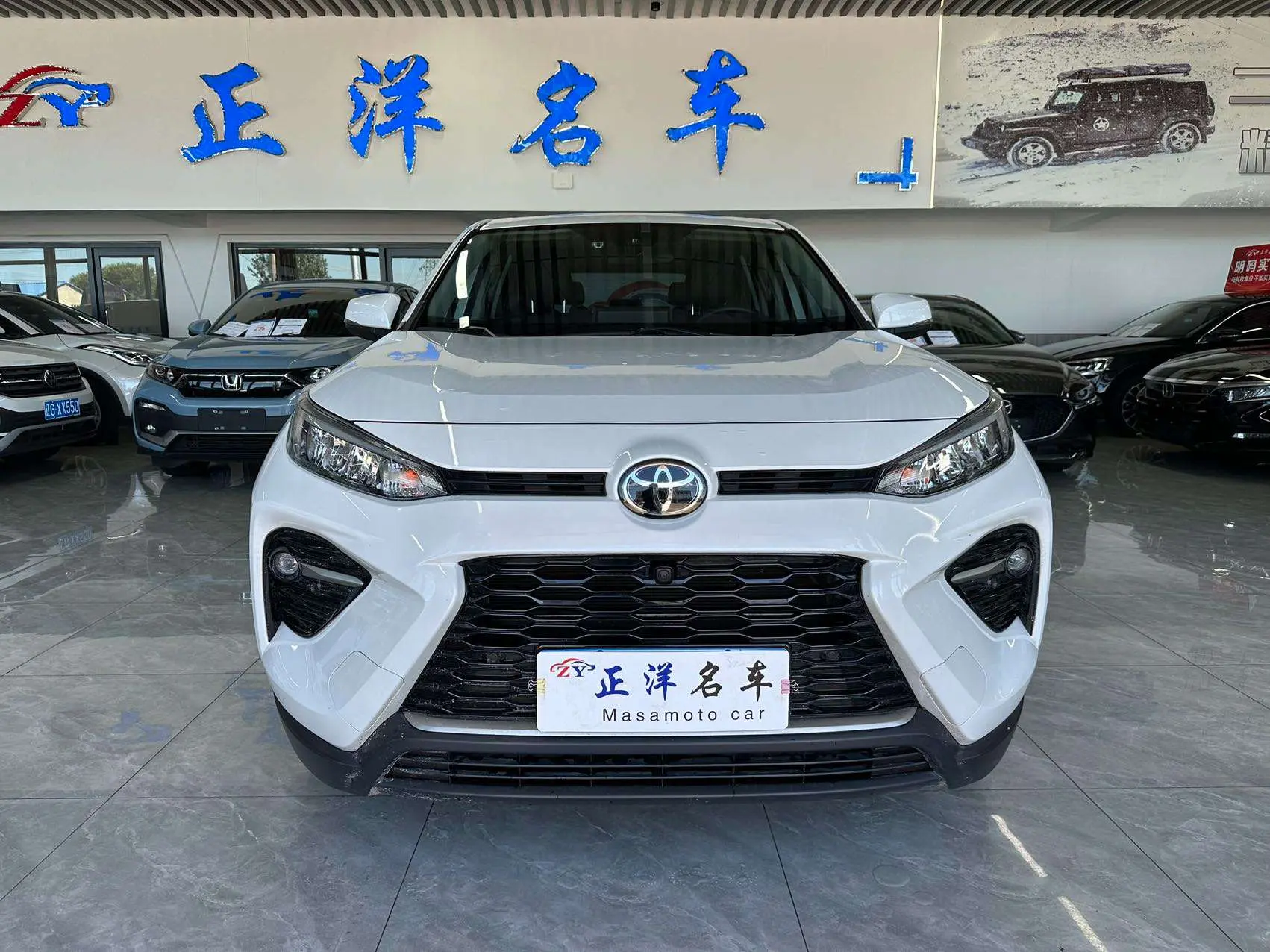 Toyota Willanda