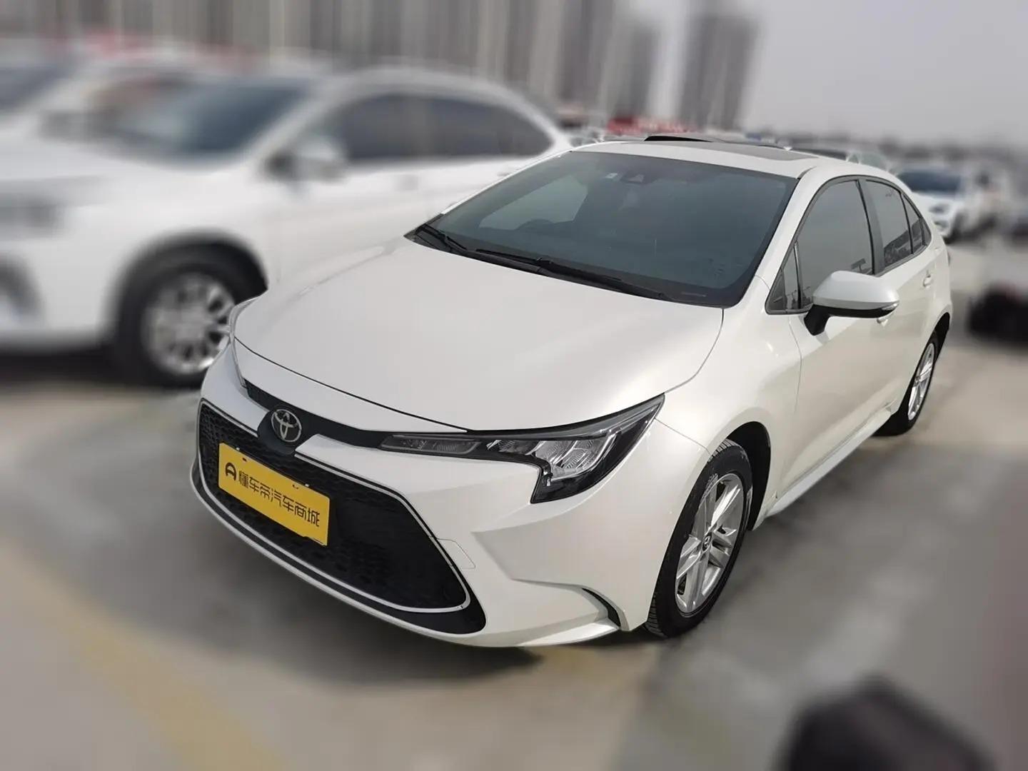 Toyota Levin