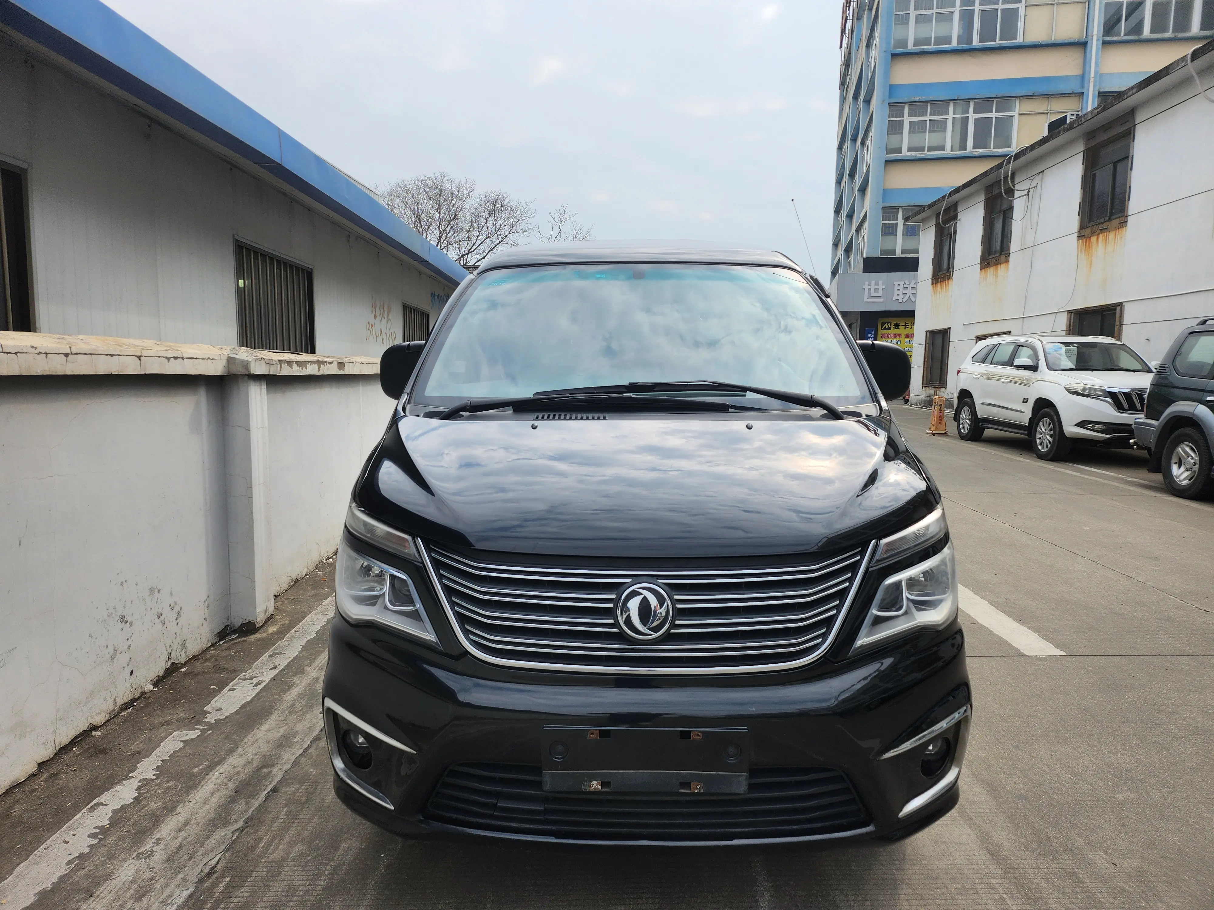 Forthing Lingzhi  из Китая