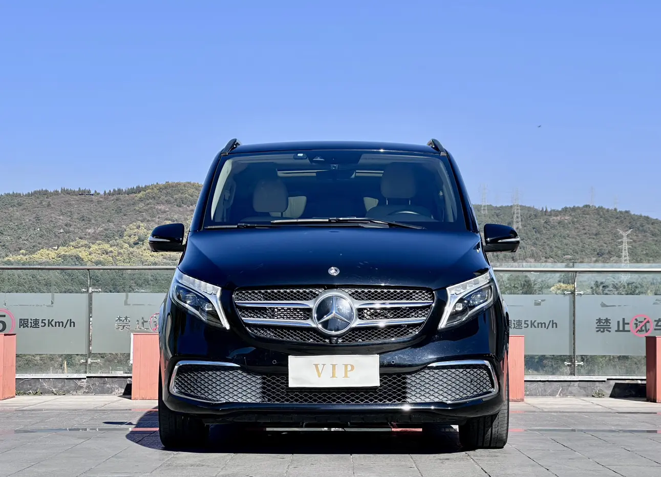 Mercedes-Benz Mercedes Benz V Class  из Китая