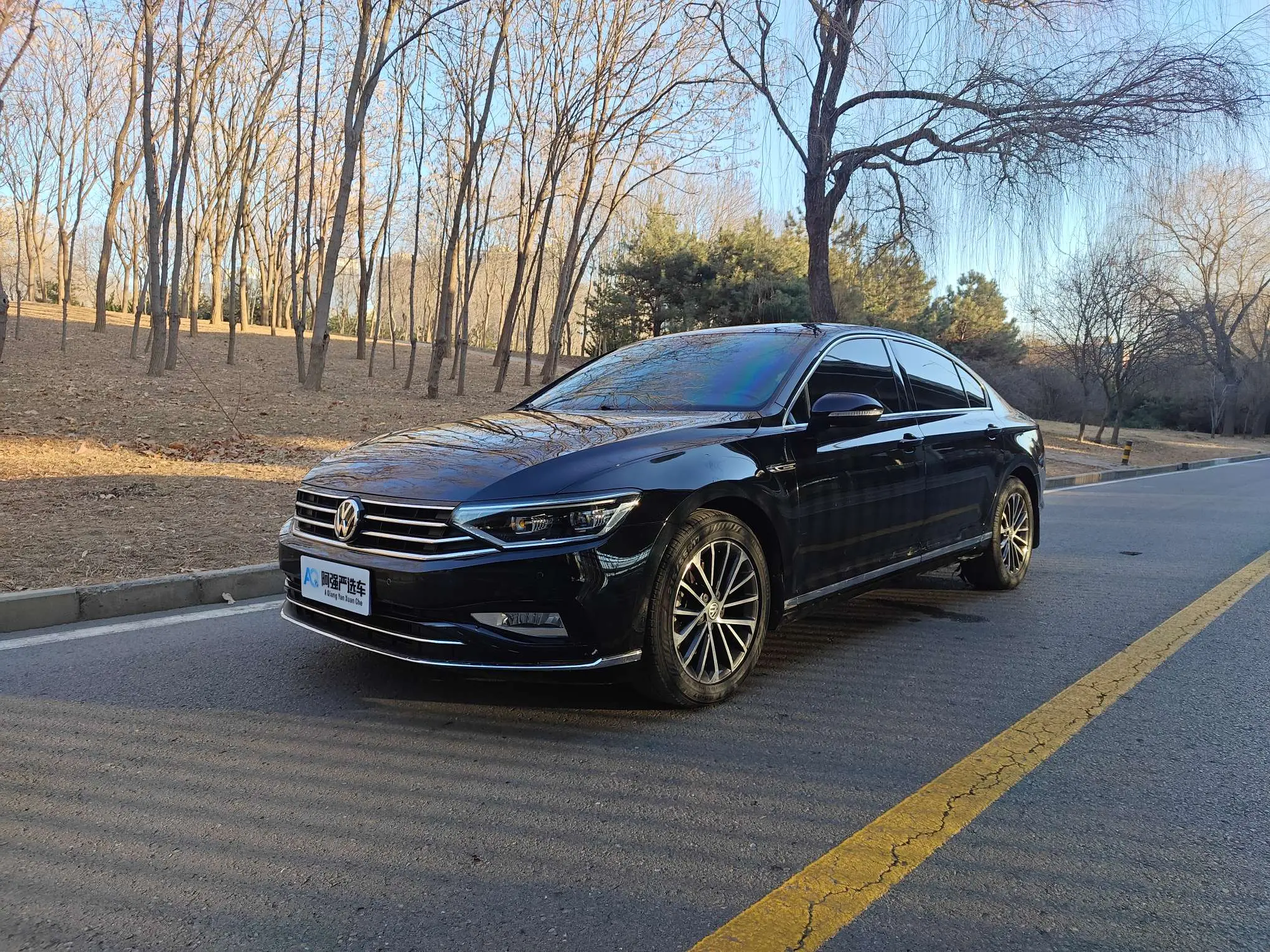 Volkswagen Magotan  из Китая