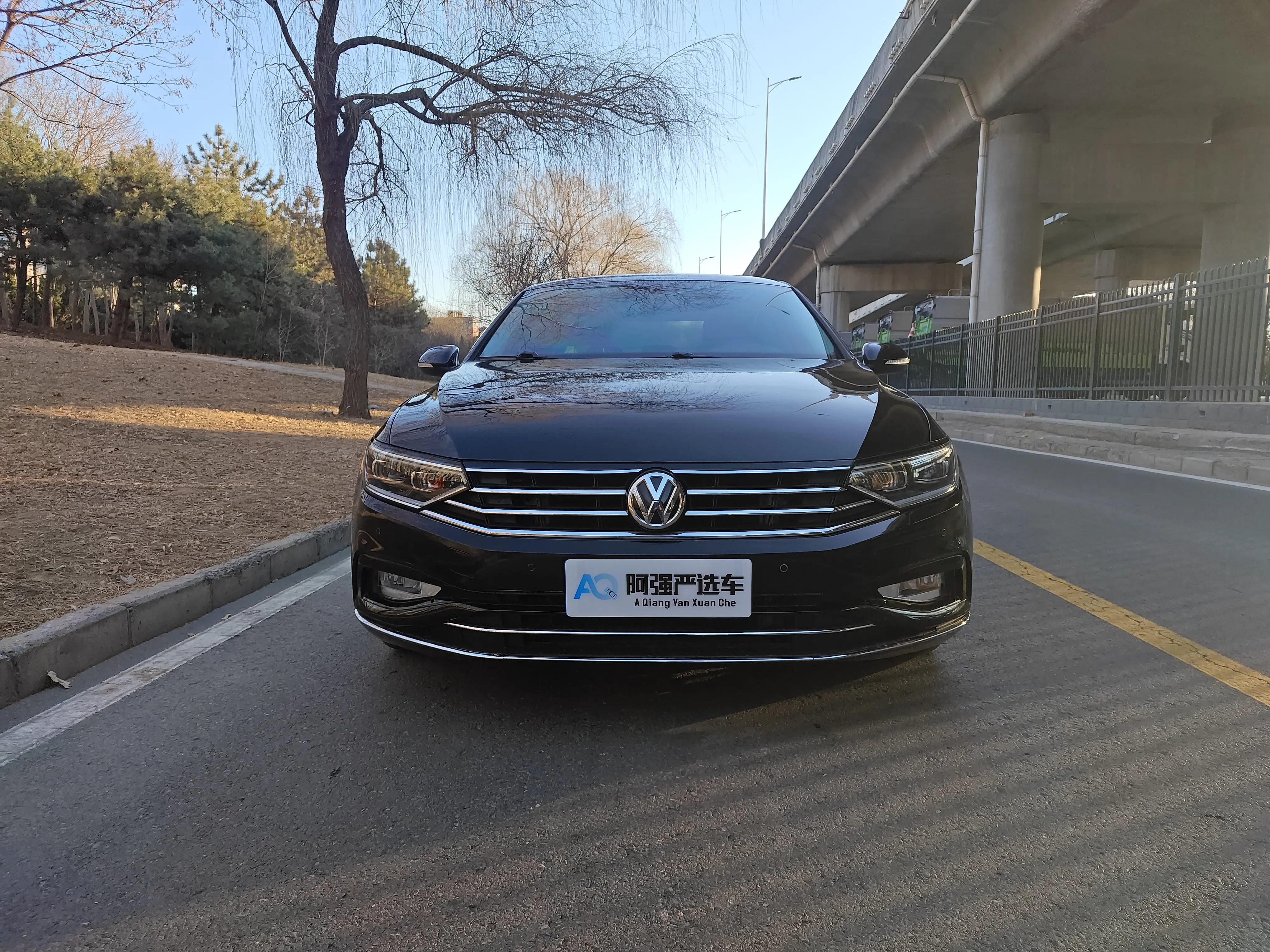 Volkswagen Magotan  из Китая