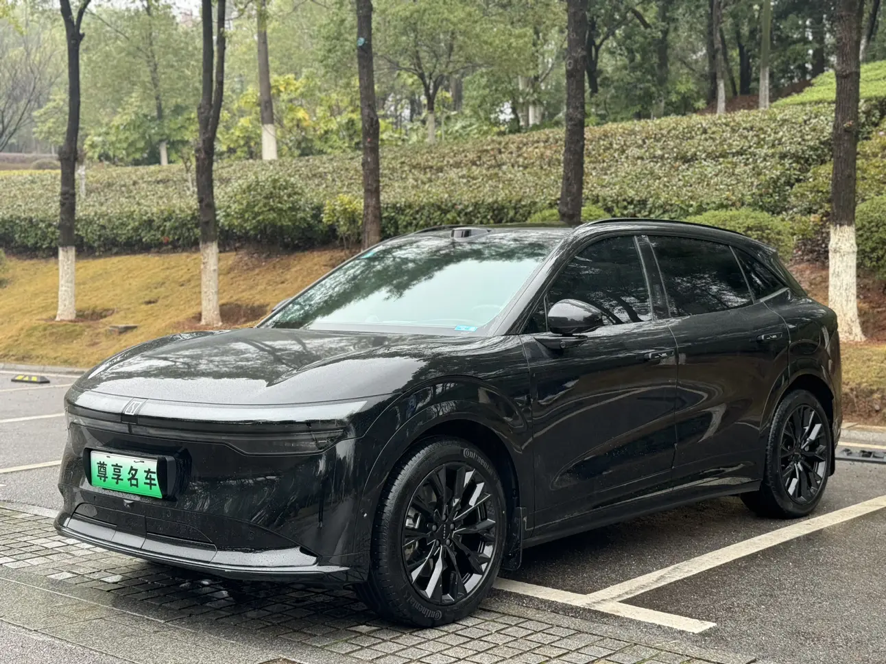 ZEEKR 7X  из Китая