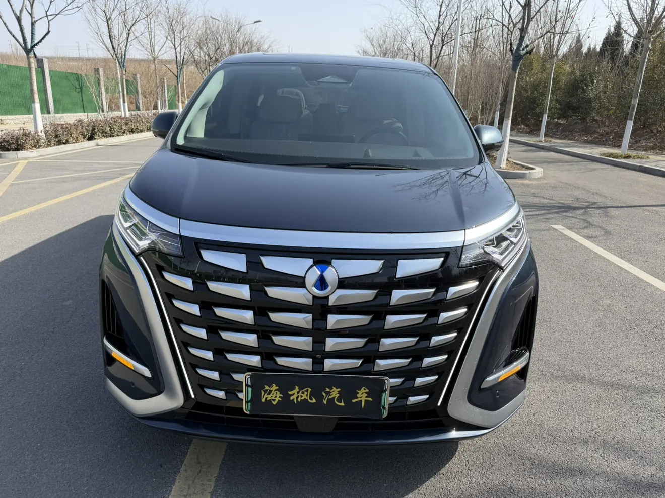 Denza D9 DM  из Китая