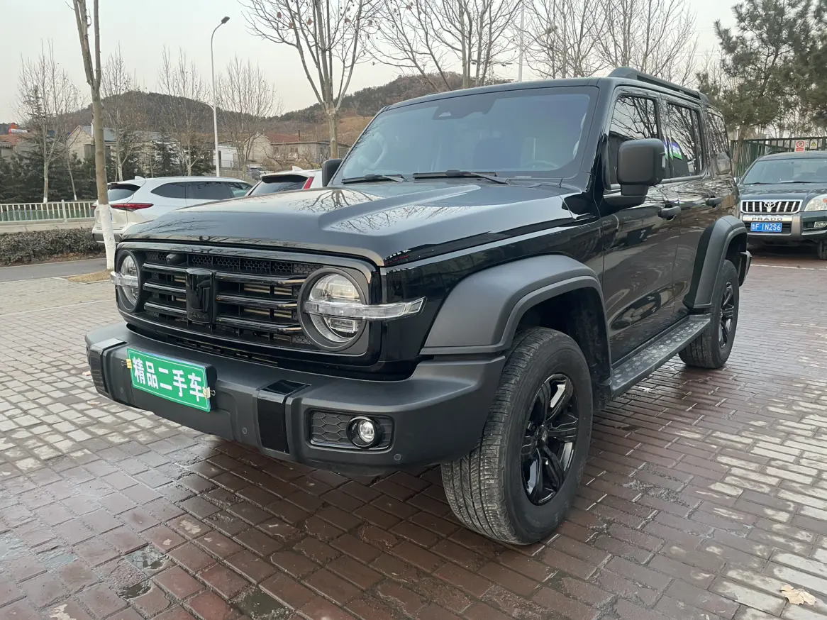 Tank 300  из Китая