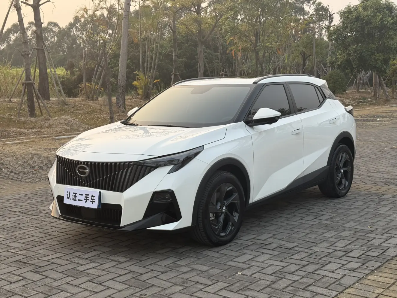 GAC Trumpchi GS3  из Китая