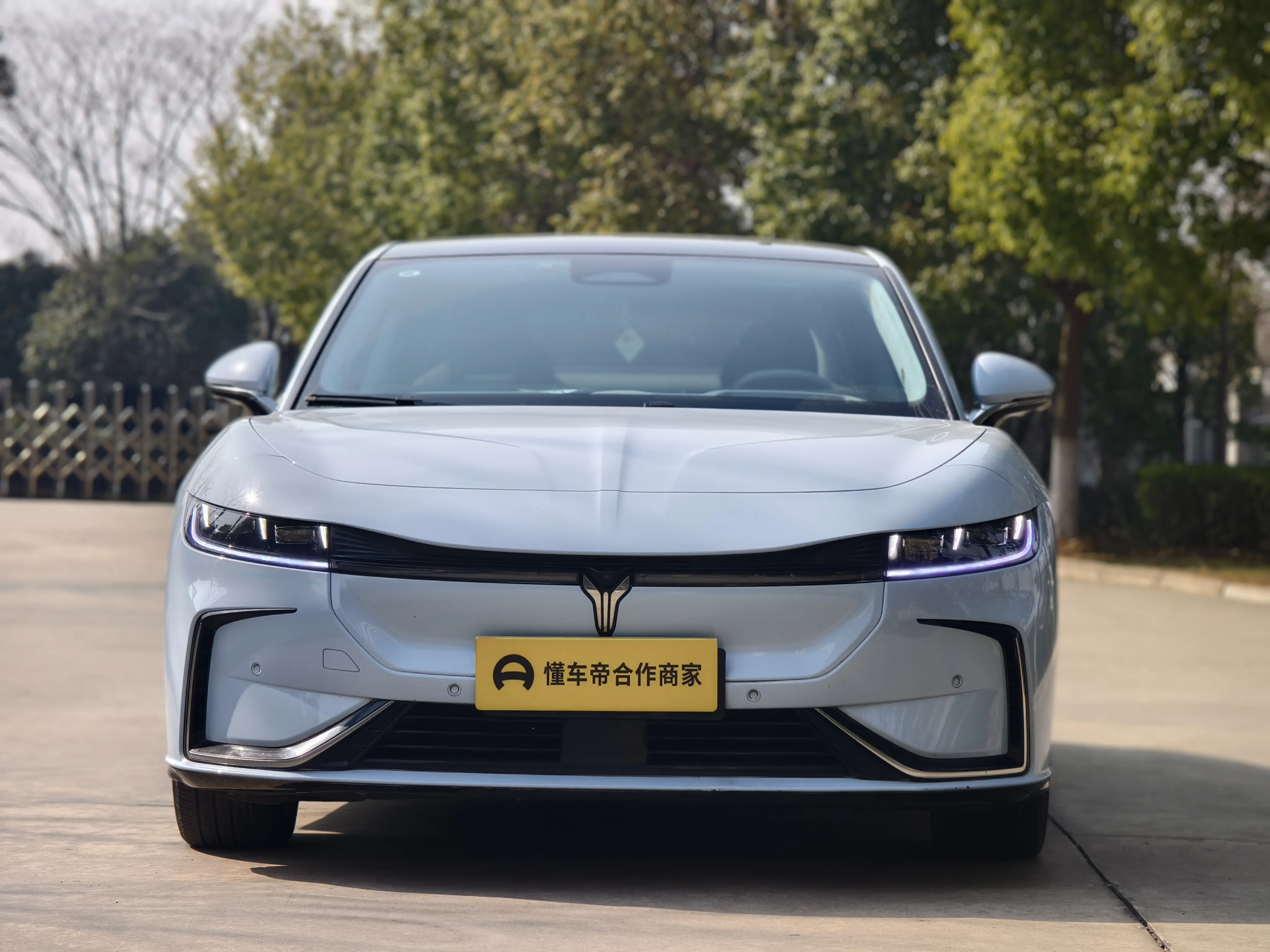 Voyah Passion EV  из Китая