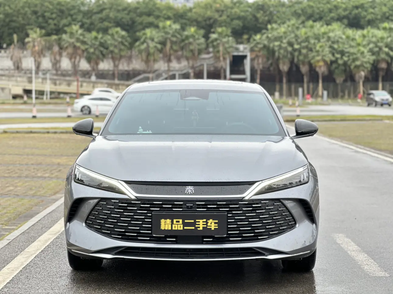 BYD Qin L DM
