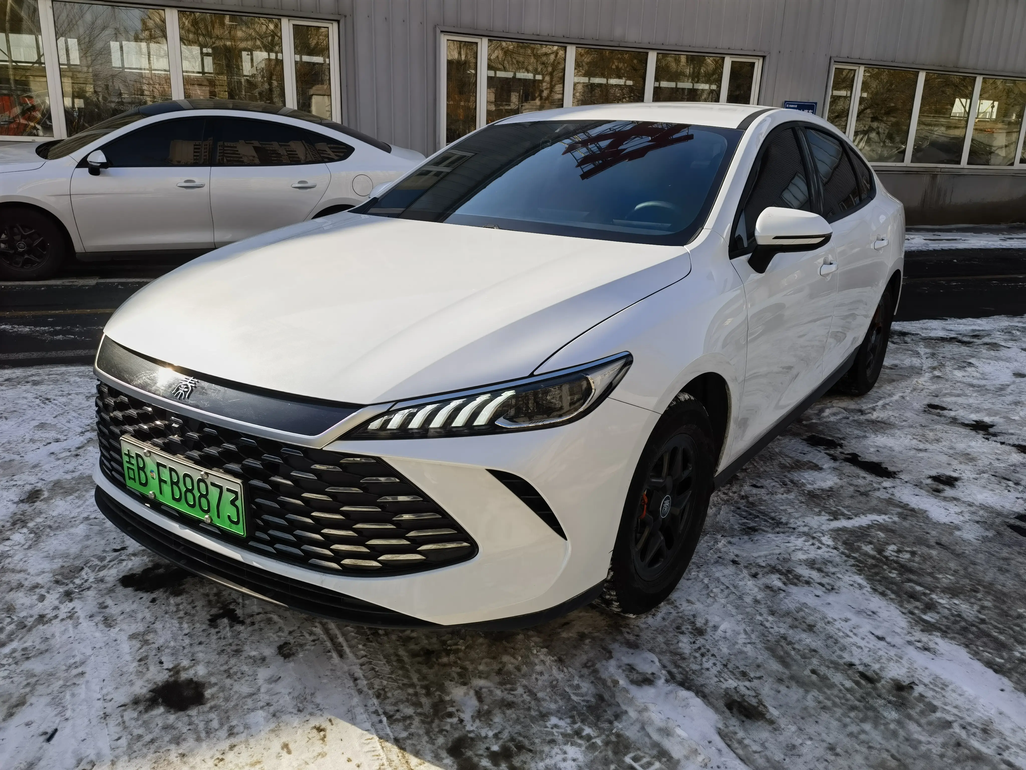 BYD Qin PLUS DM  из Китая